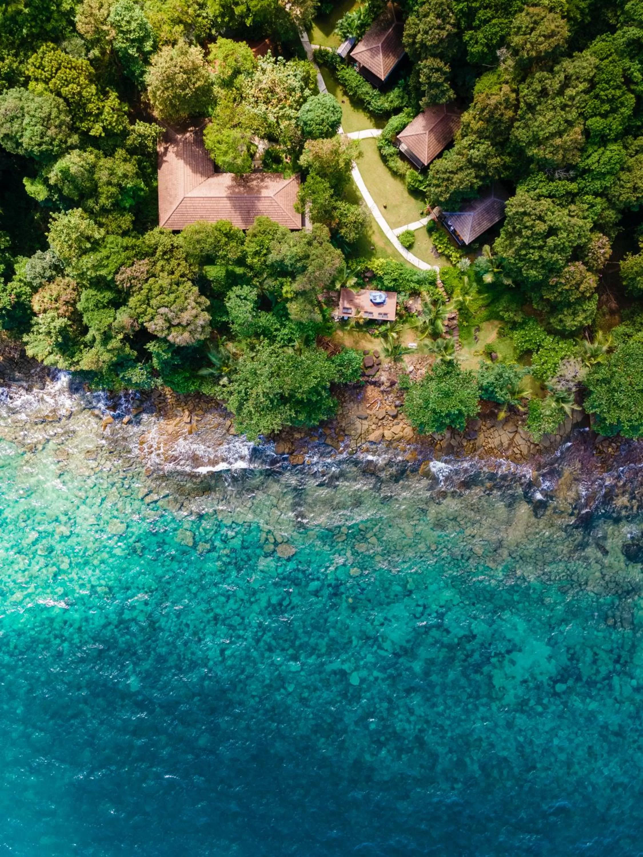 Garden in Jasmin Garden Koh Kood