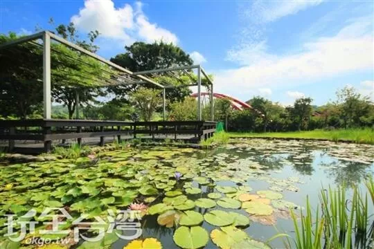 Swimming Pool in Rainbow Bridge B&B