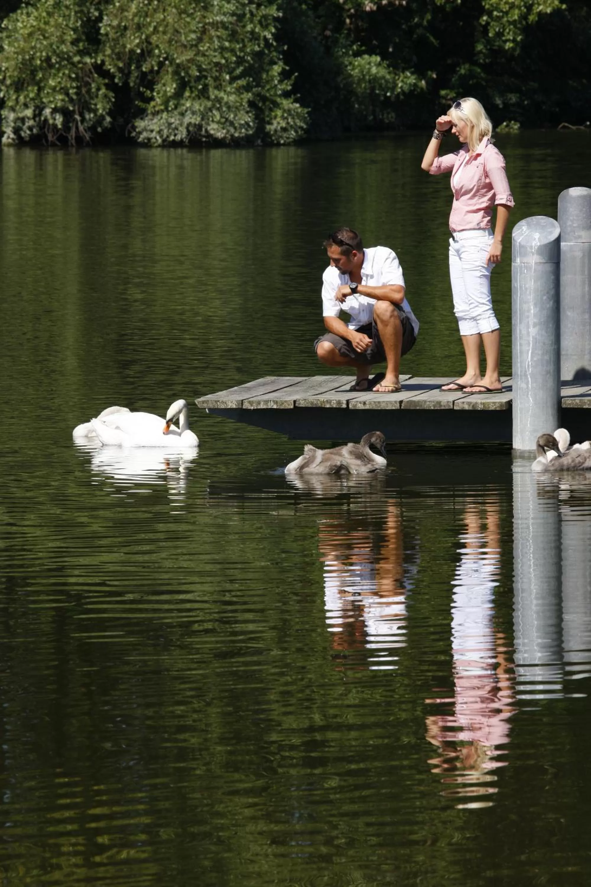 Area and facilities in Hotel Restaurant Zum Goldenen Anker mit Hallenbad