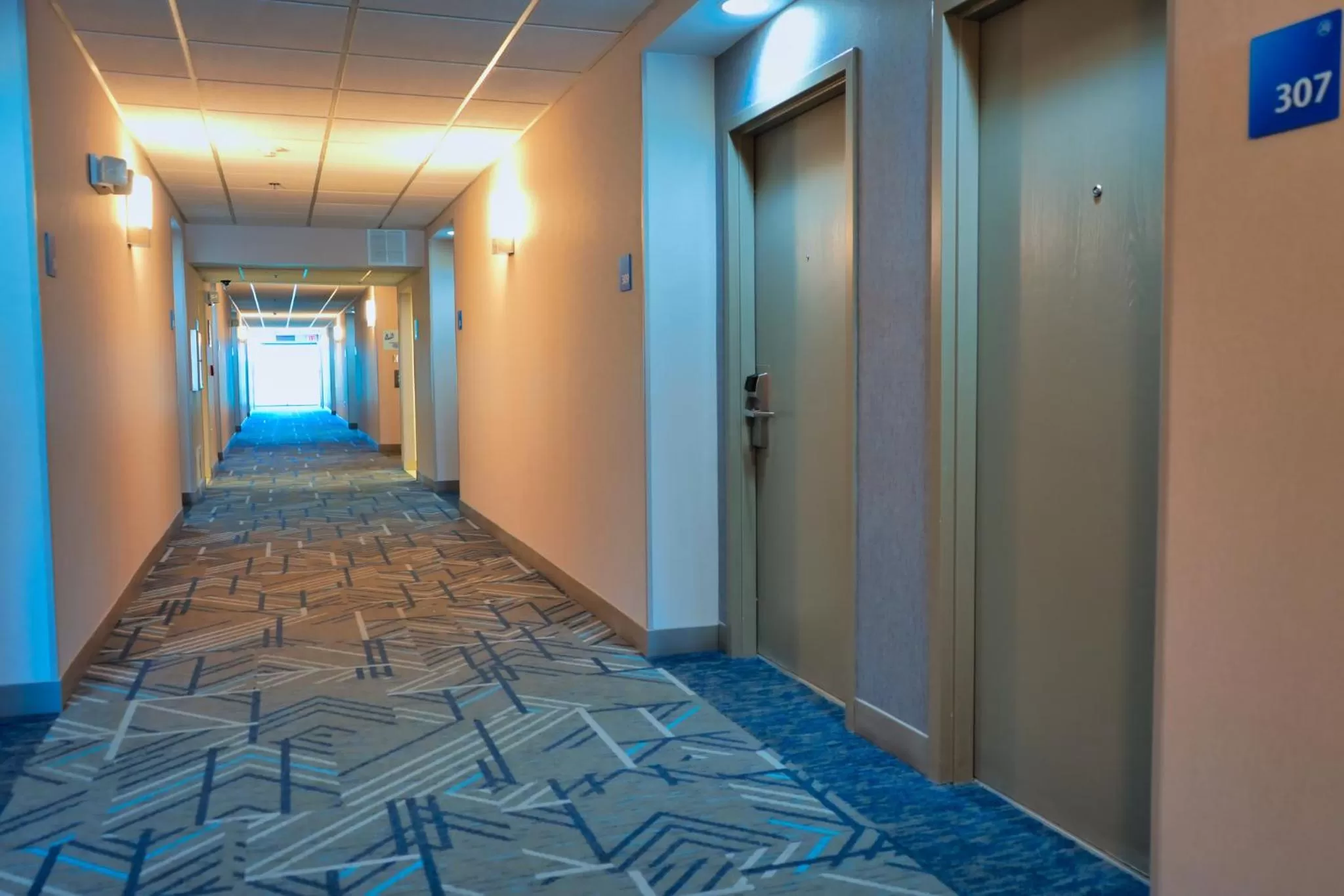 Property building in Holiday Inn Express Hotel & Suites Tampa-Oldsmar by IHG