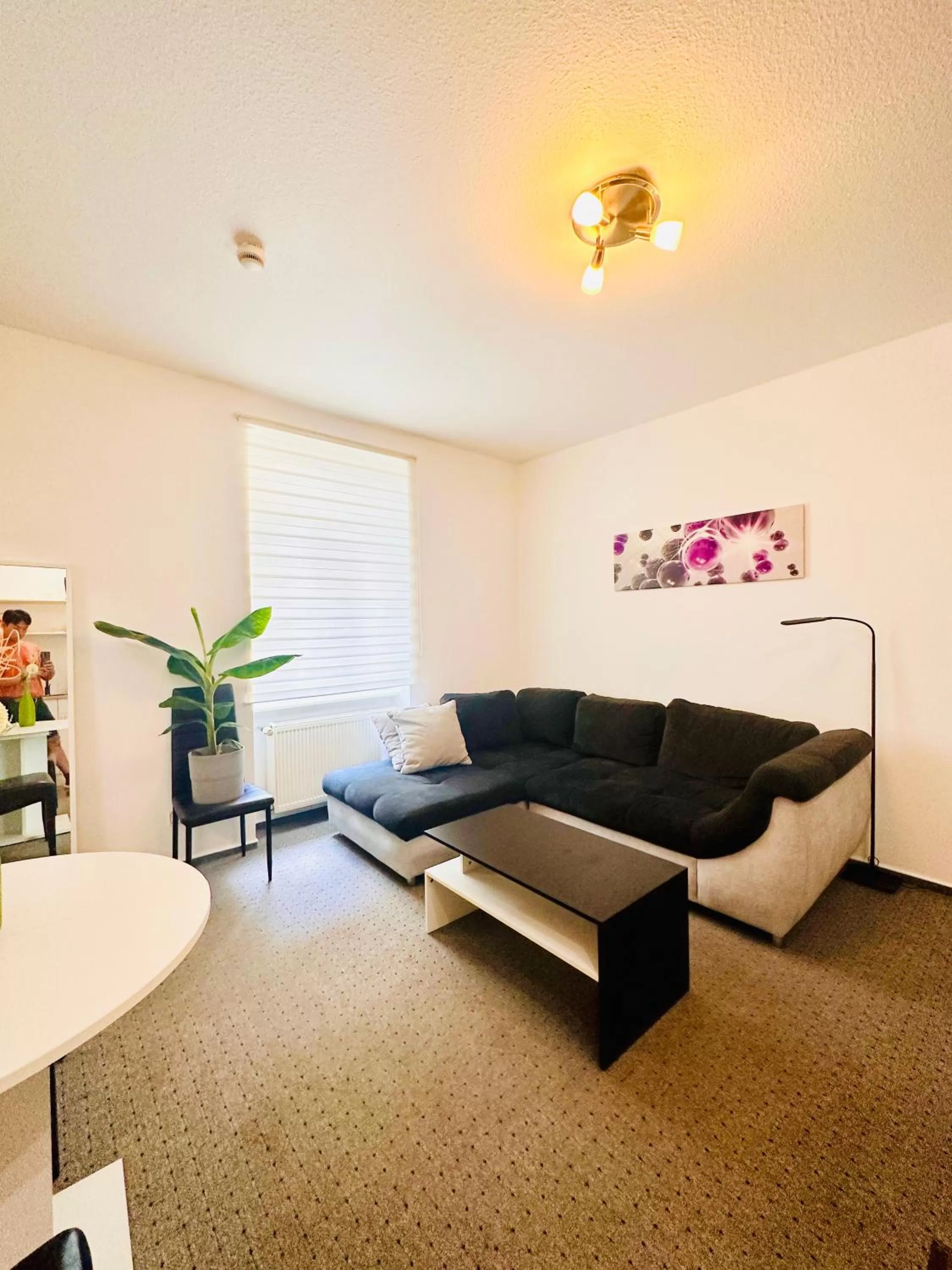 Seating Area in Saale, Marktplatz Zentrum, Apartmenthaus am Dom von Plant Room