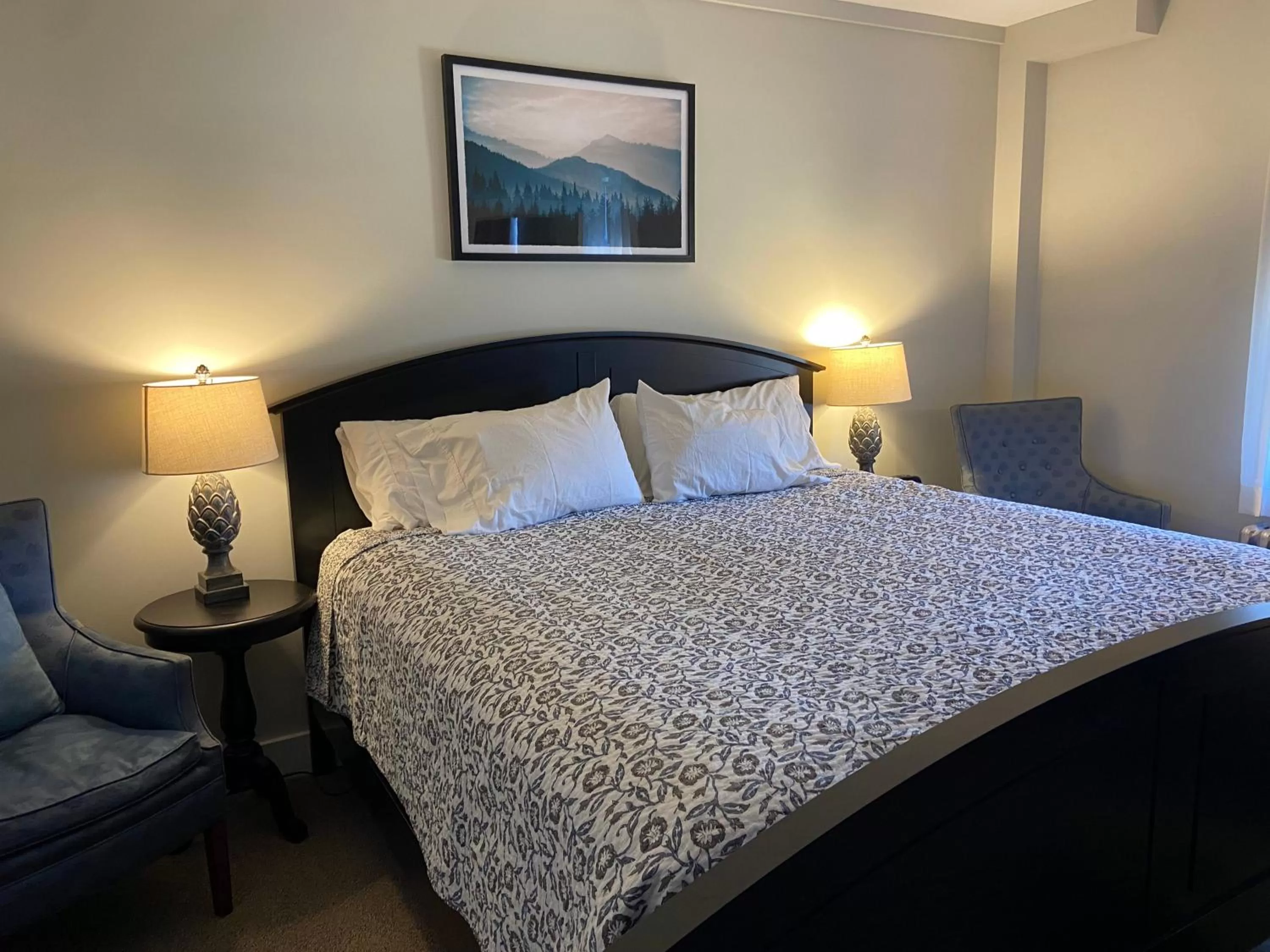Superior King Room - single occupancy in Franconia Inn