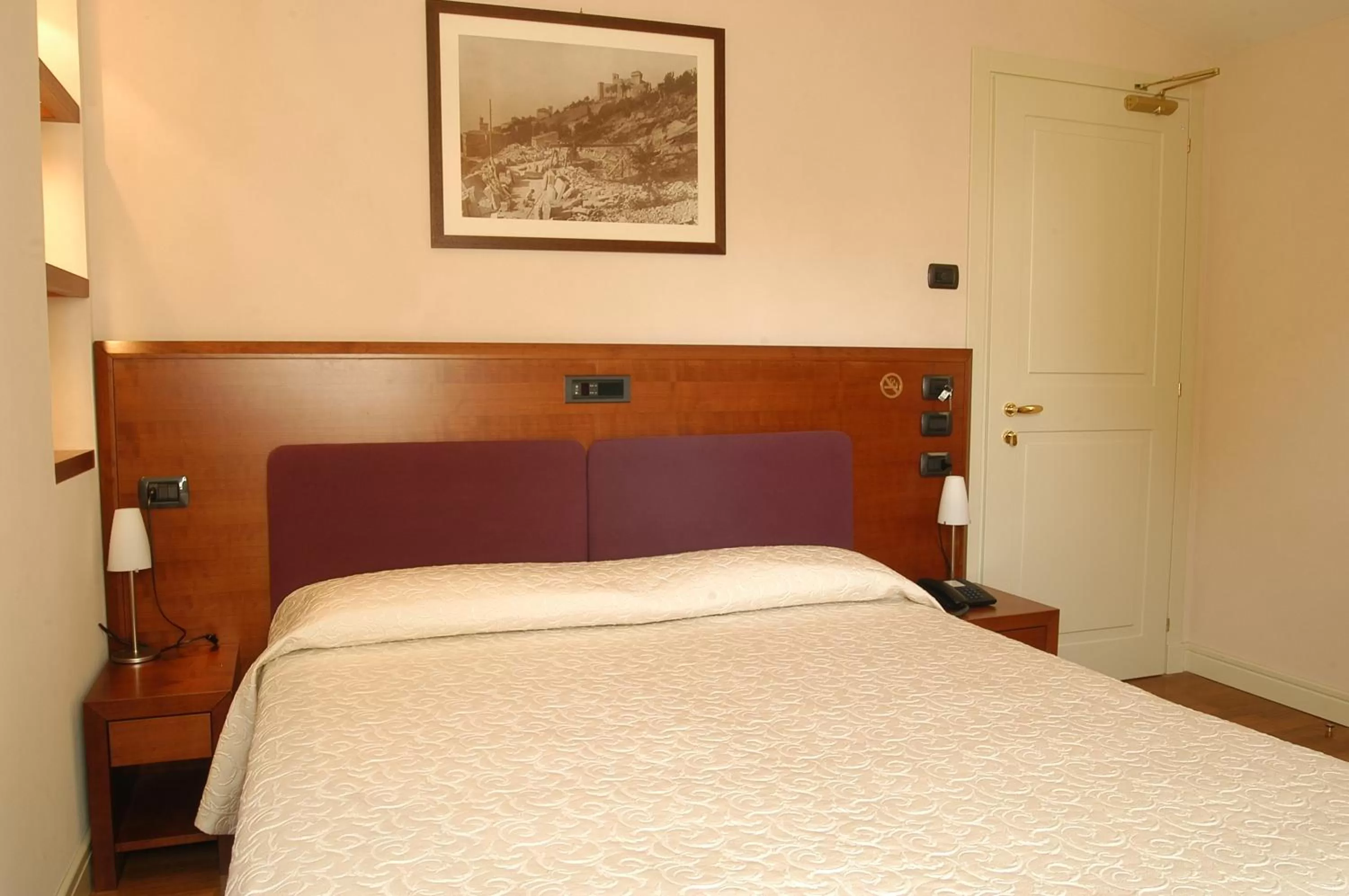 Double or Twin Room in Hotel Rosa