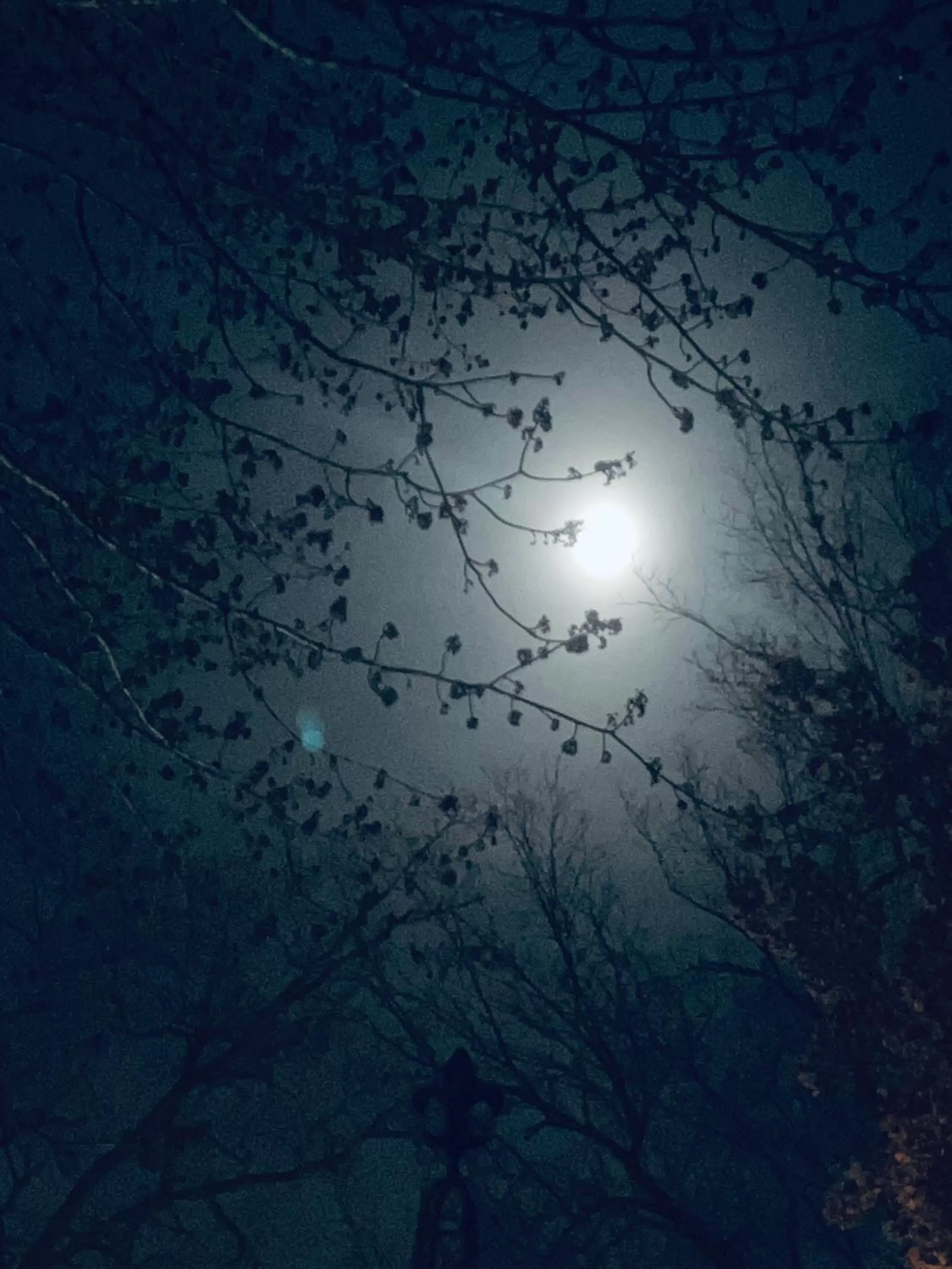 Night in All Seasons Inn