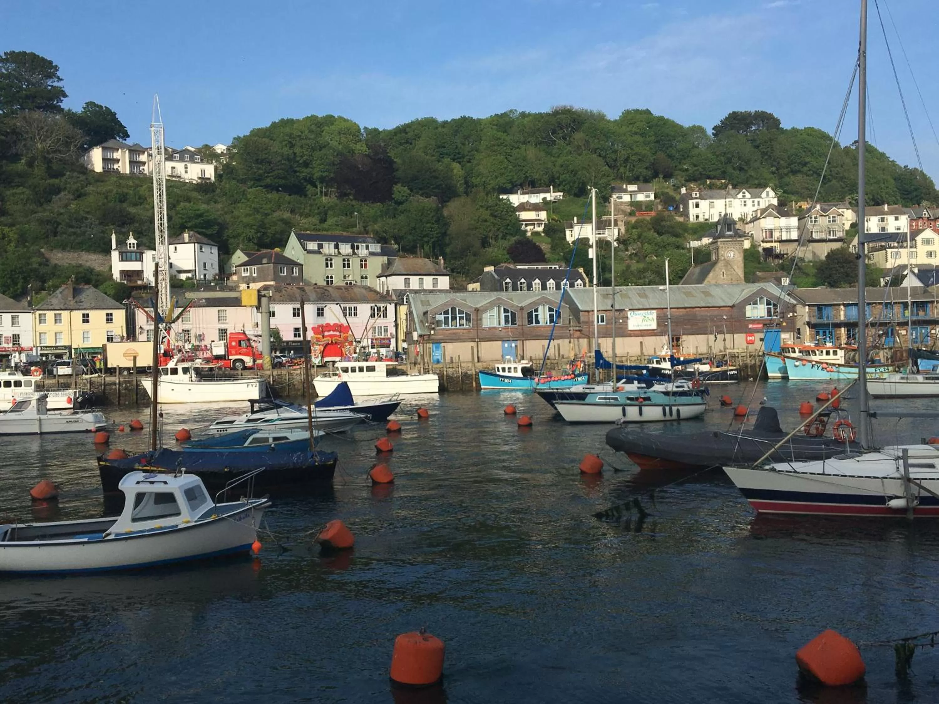 Natural landscape in Penwyn Bed and Breakfast