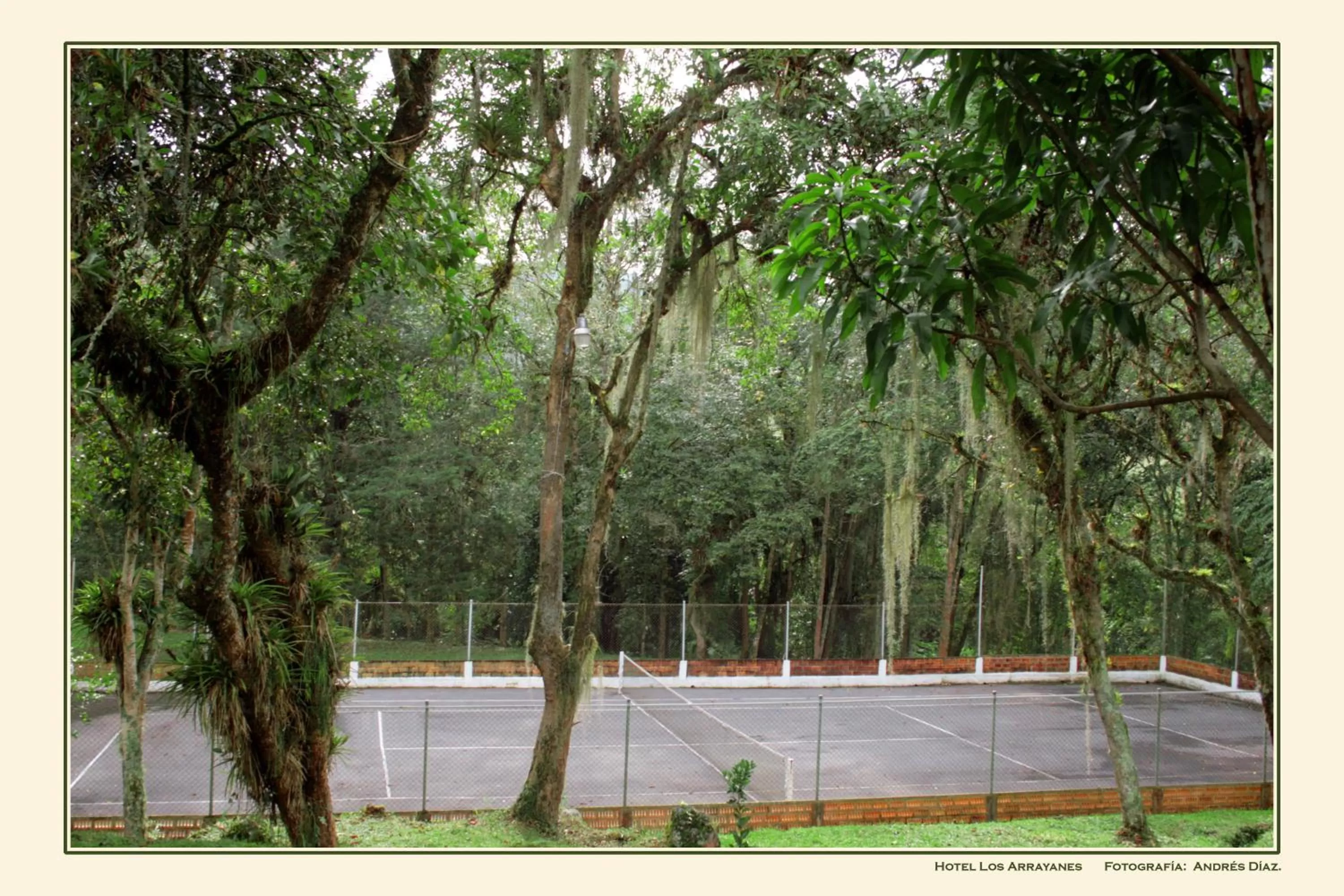 Tennis court in Hotel Campestre Los Arrayanes