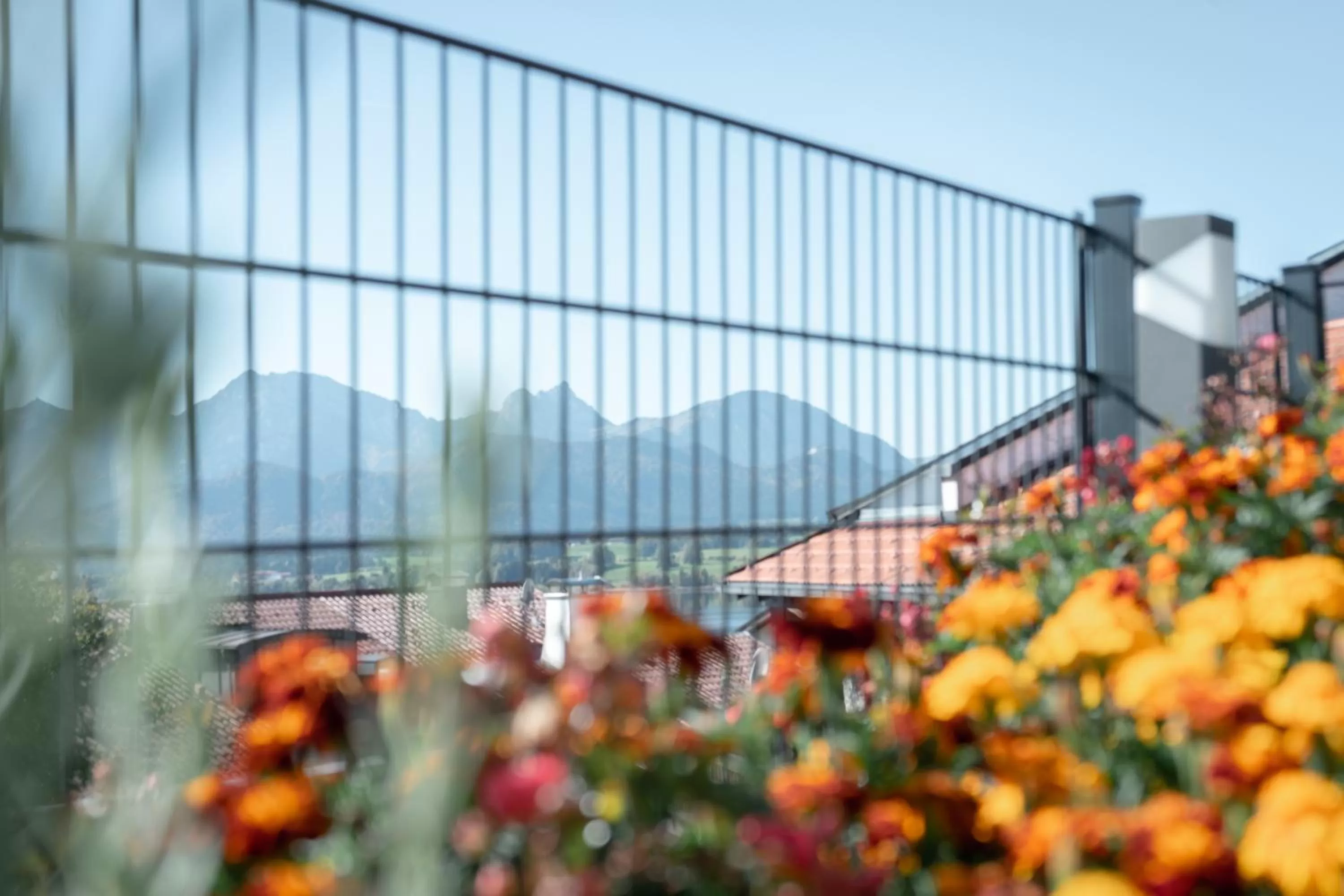 View (from property/room), Property Building in Ferienhaus und Landhaus Berger