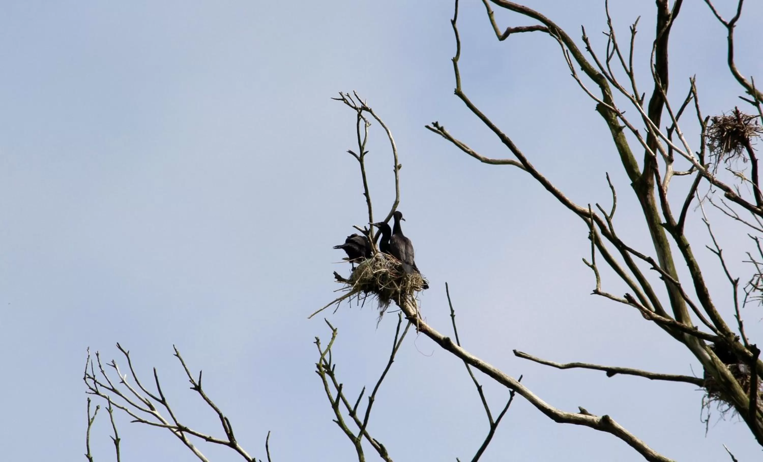 Day in Hotel Boutique Casa Werner