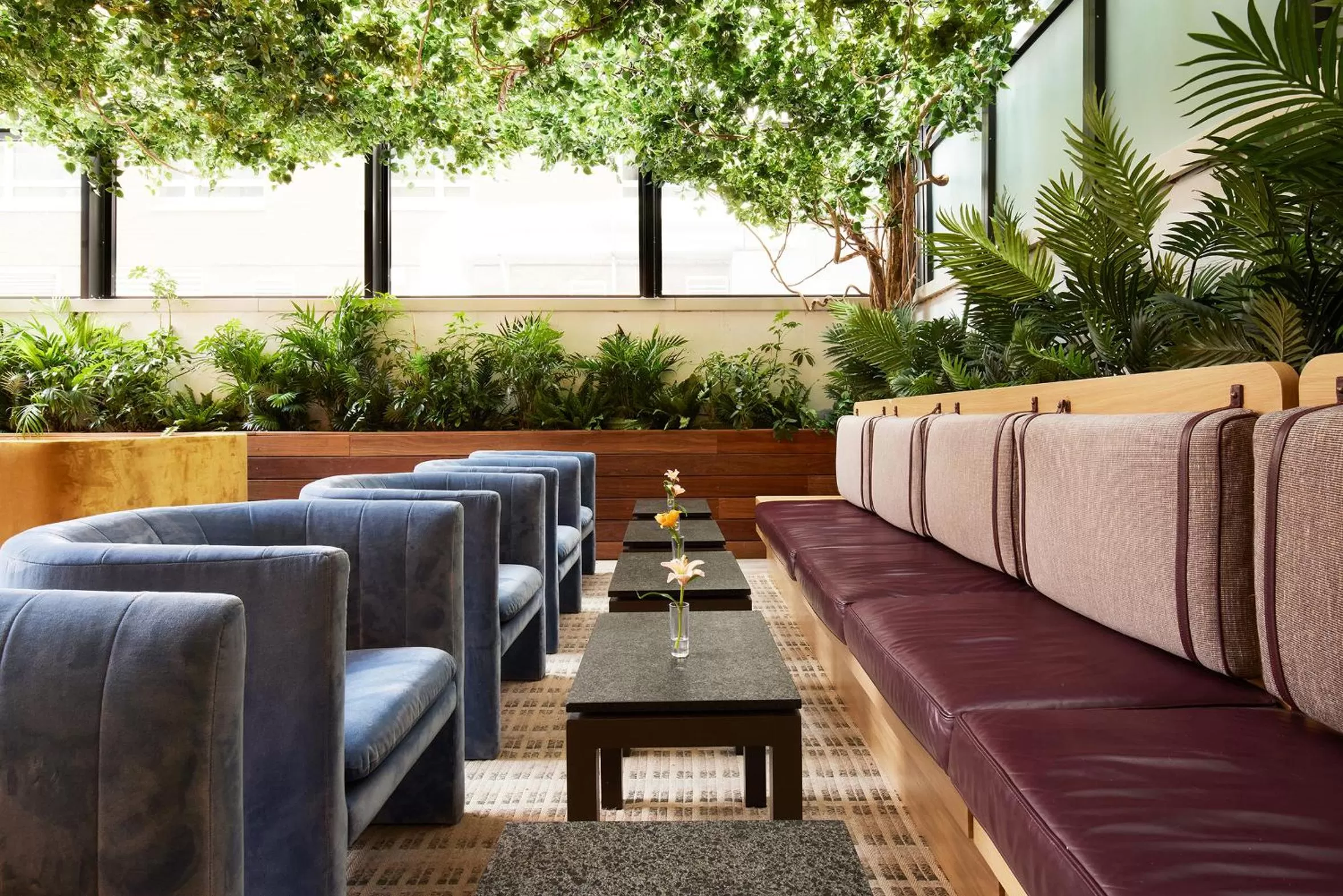 Restaurant/places to eat in Arlo Midtown