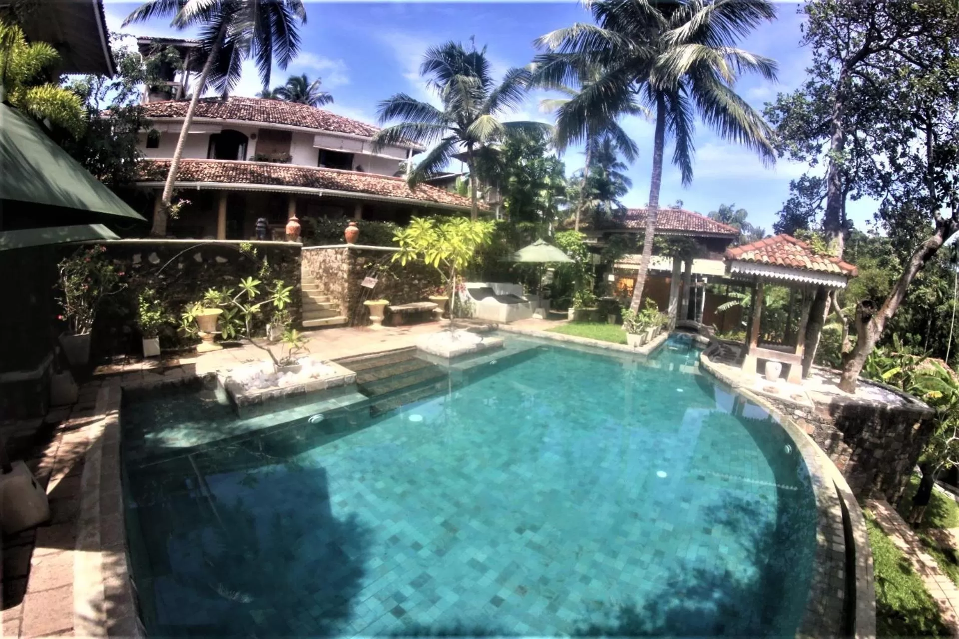 Pool view, Swimming Pool in The Spice House Mirissa