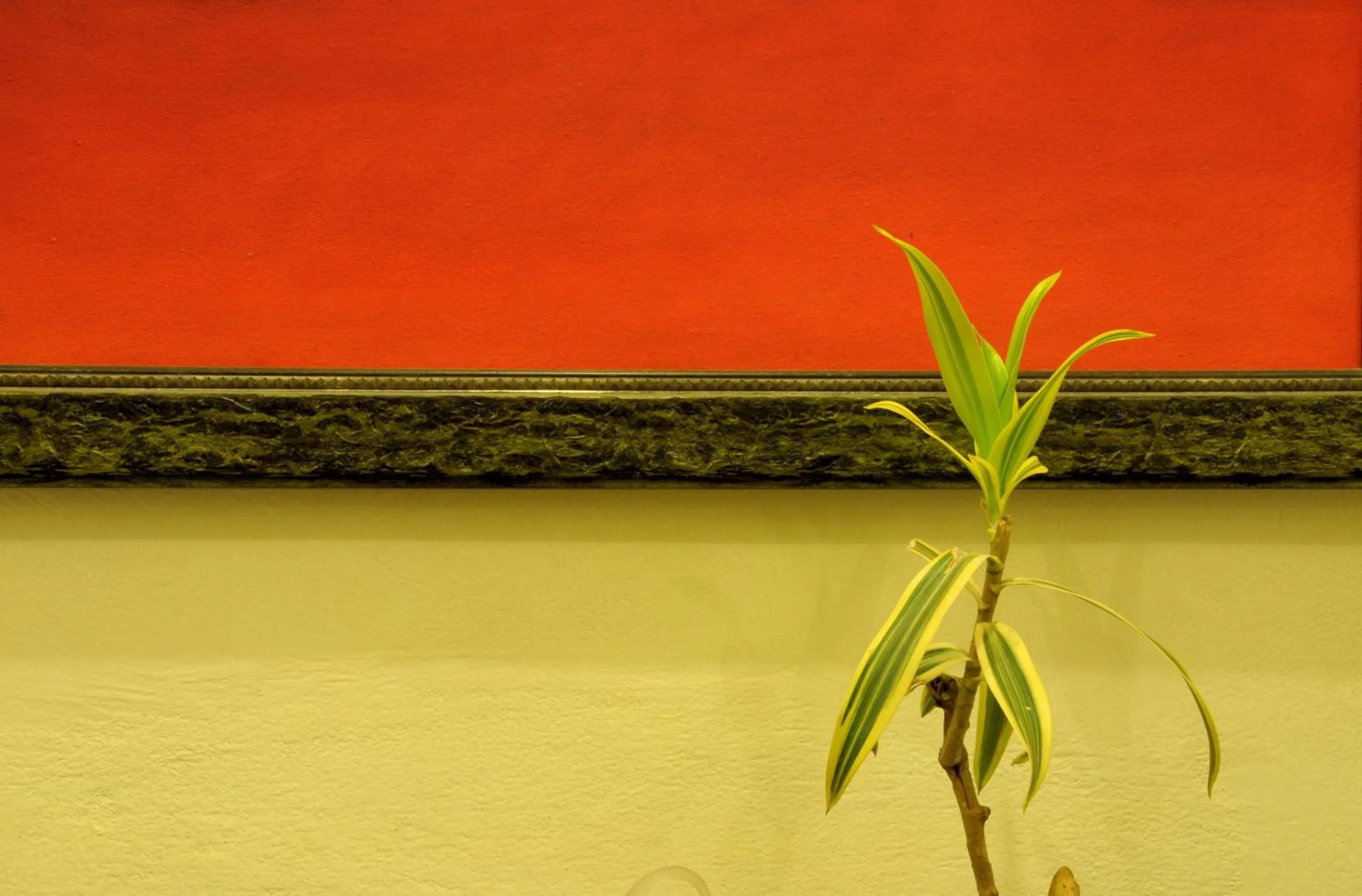 Decorative detail in Tara Niwas