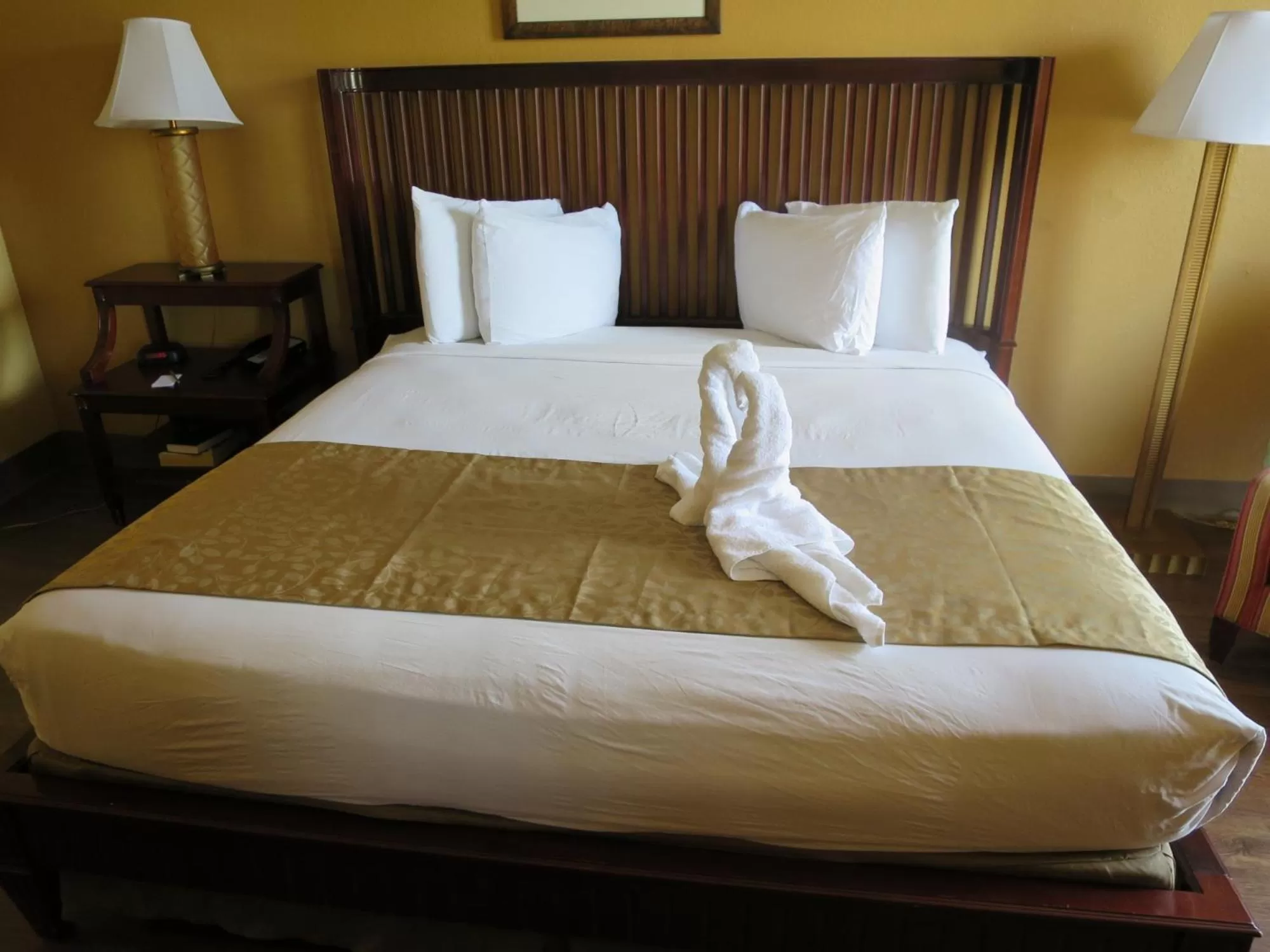 Photo of the whole room in Floridian Express International Drive