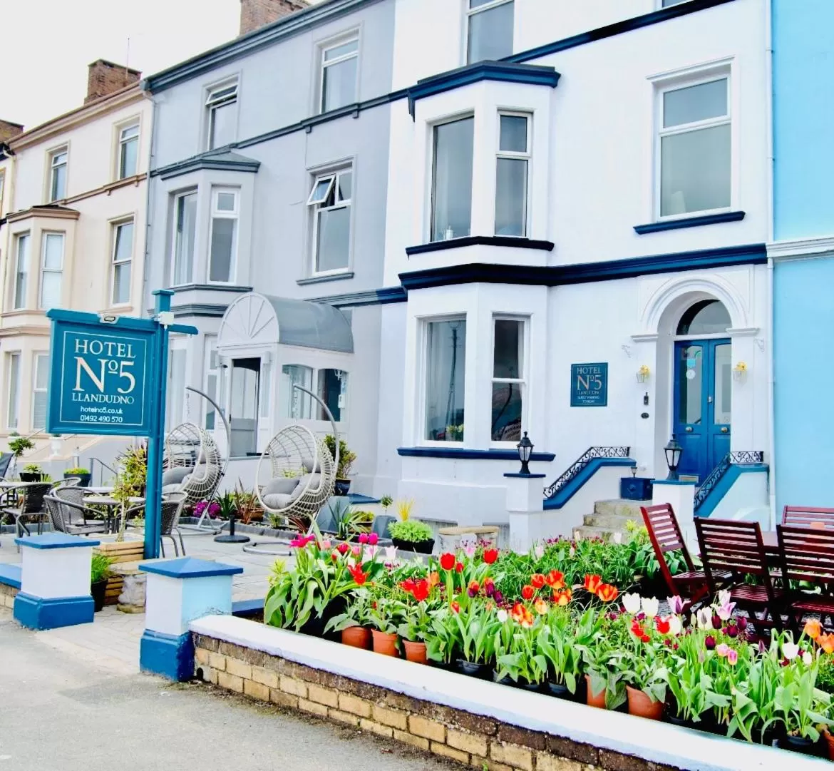 Property Building in Hotel No5