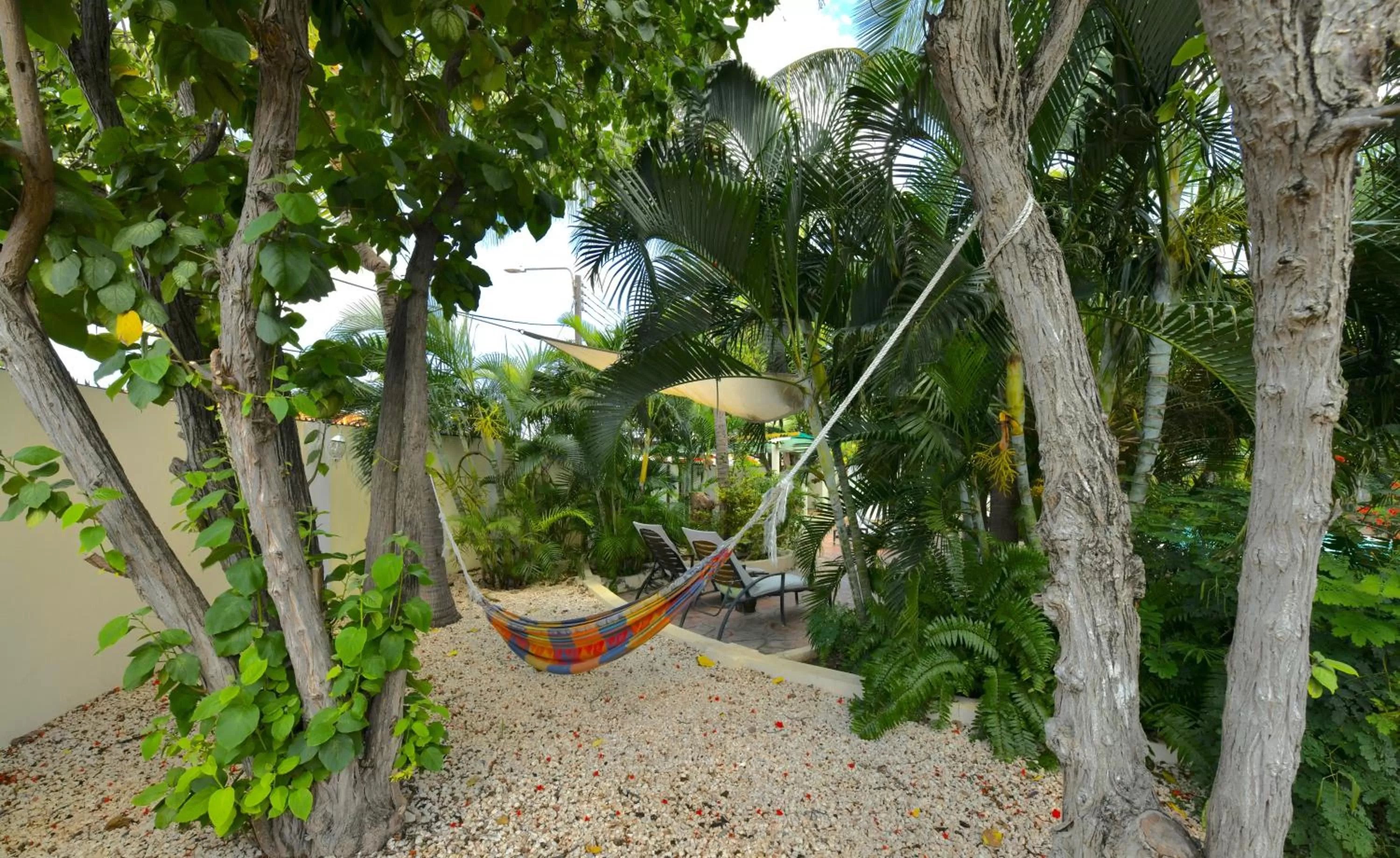 Garden in Wonders Boutique Hotel