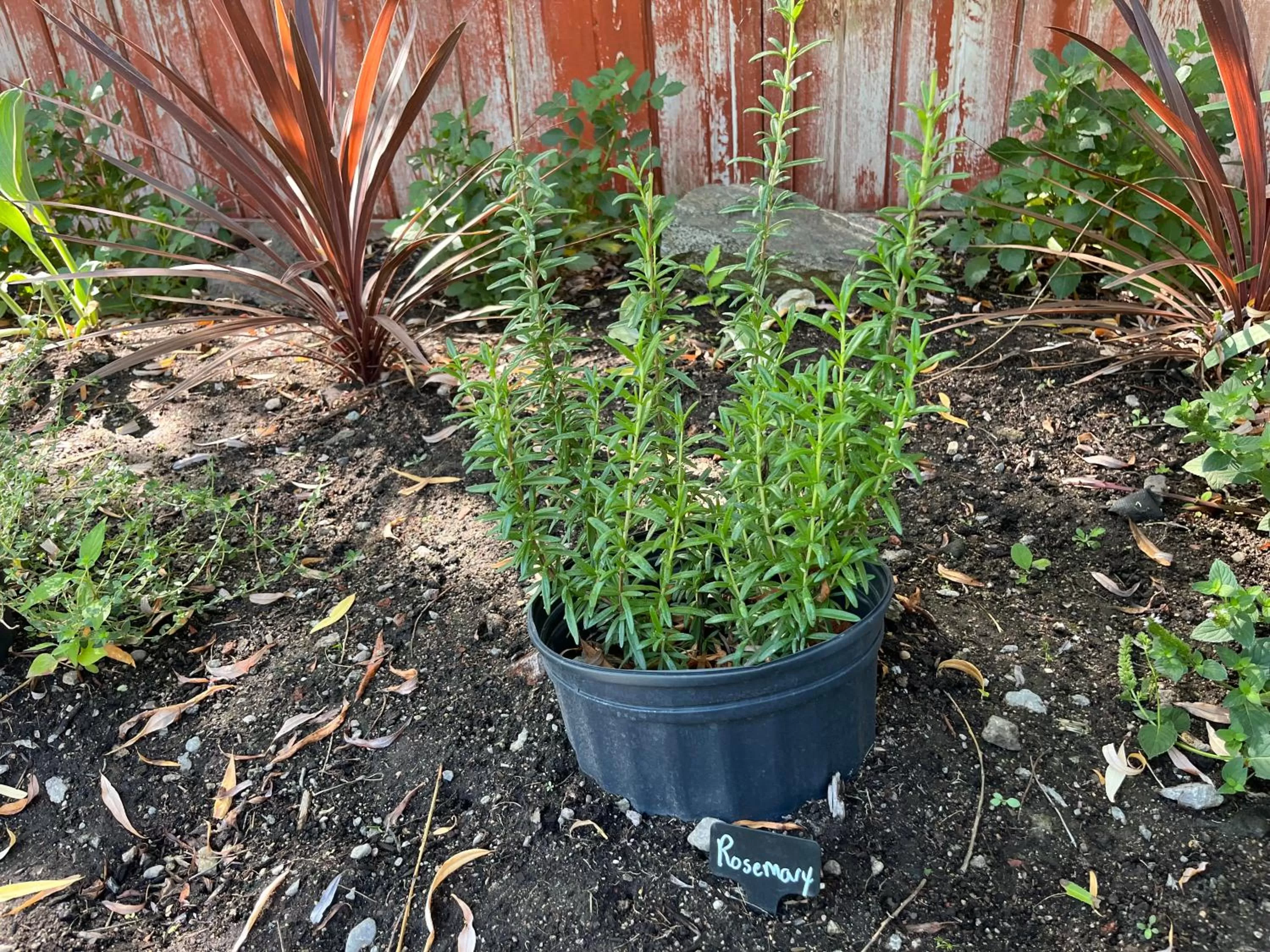 Garden in Lakeside Villa & Nordic Spa