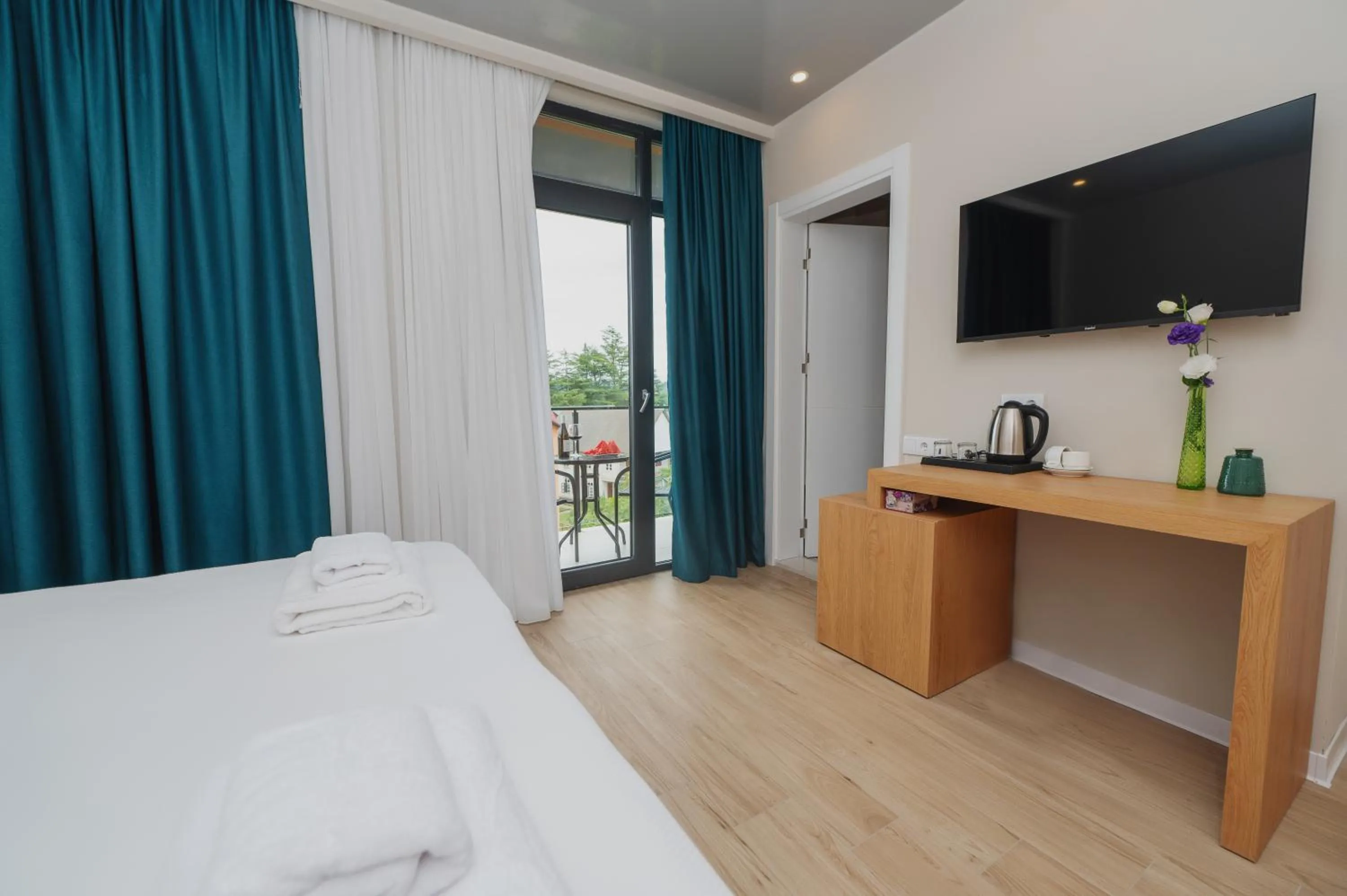 TV and multimedia in Ritsa Resort