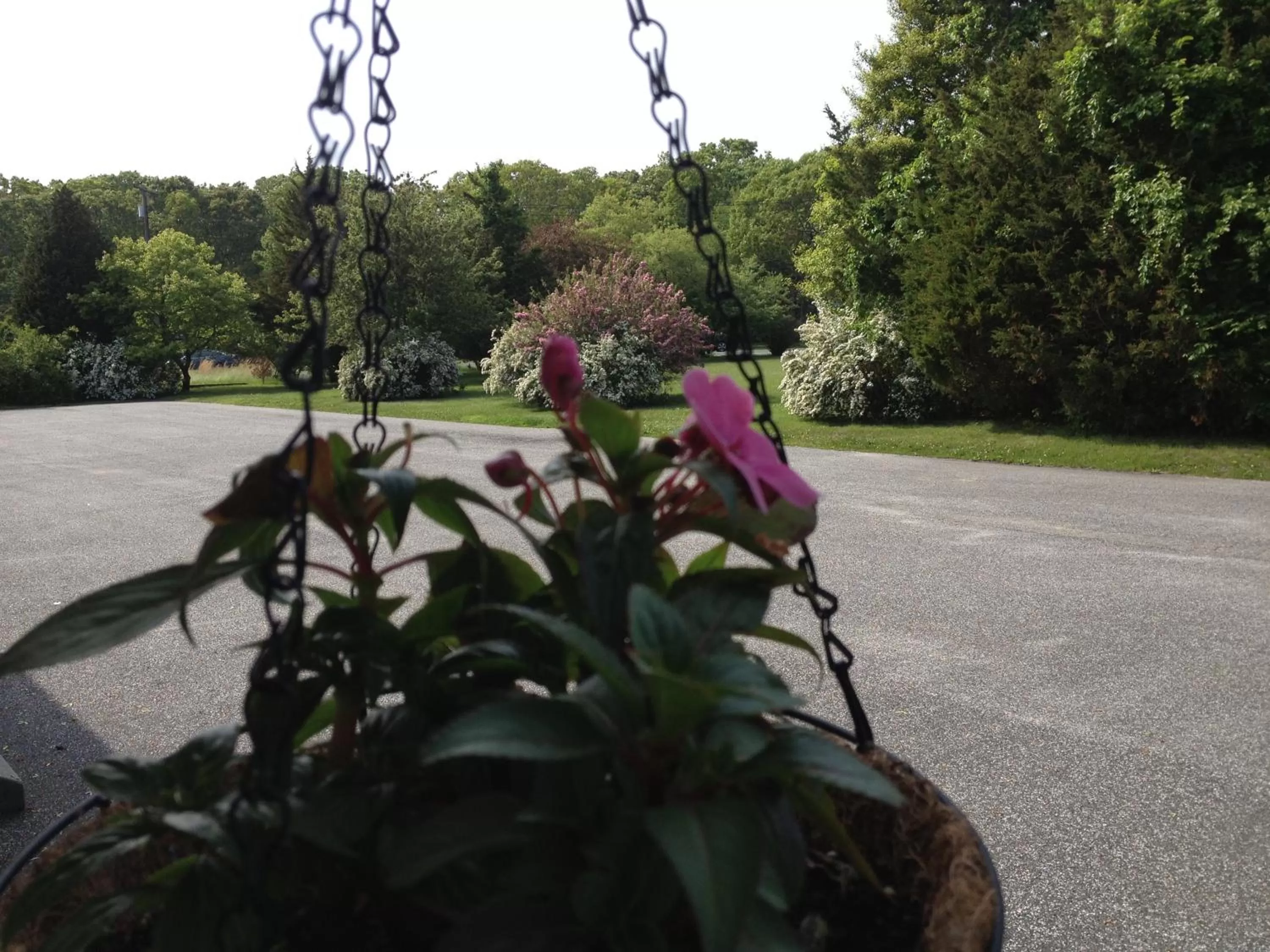 Street view in Westhampton Seabreeze Motel