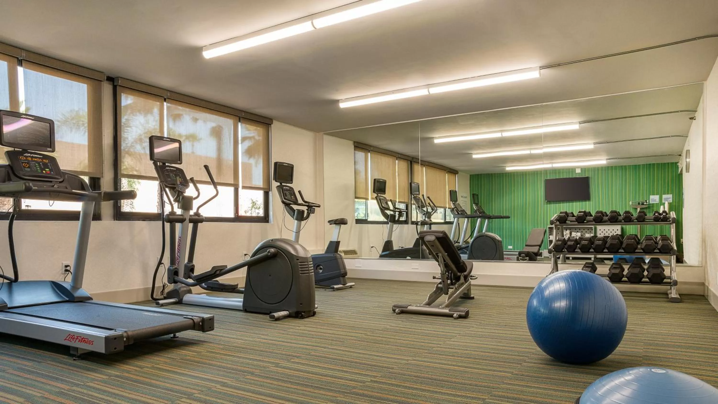 Fitness centre/facilities in Holiday Inn Express Fullerton-Anaheim by IHG