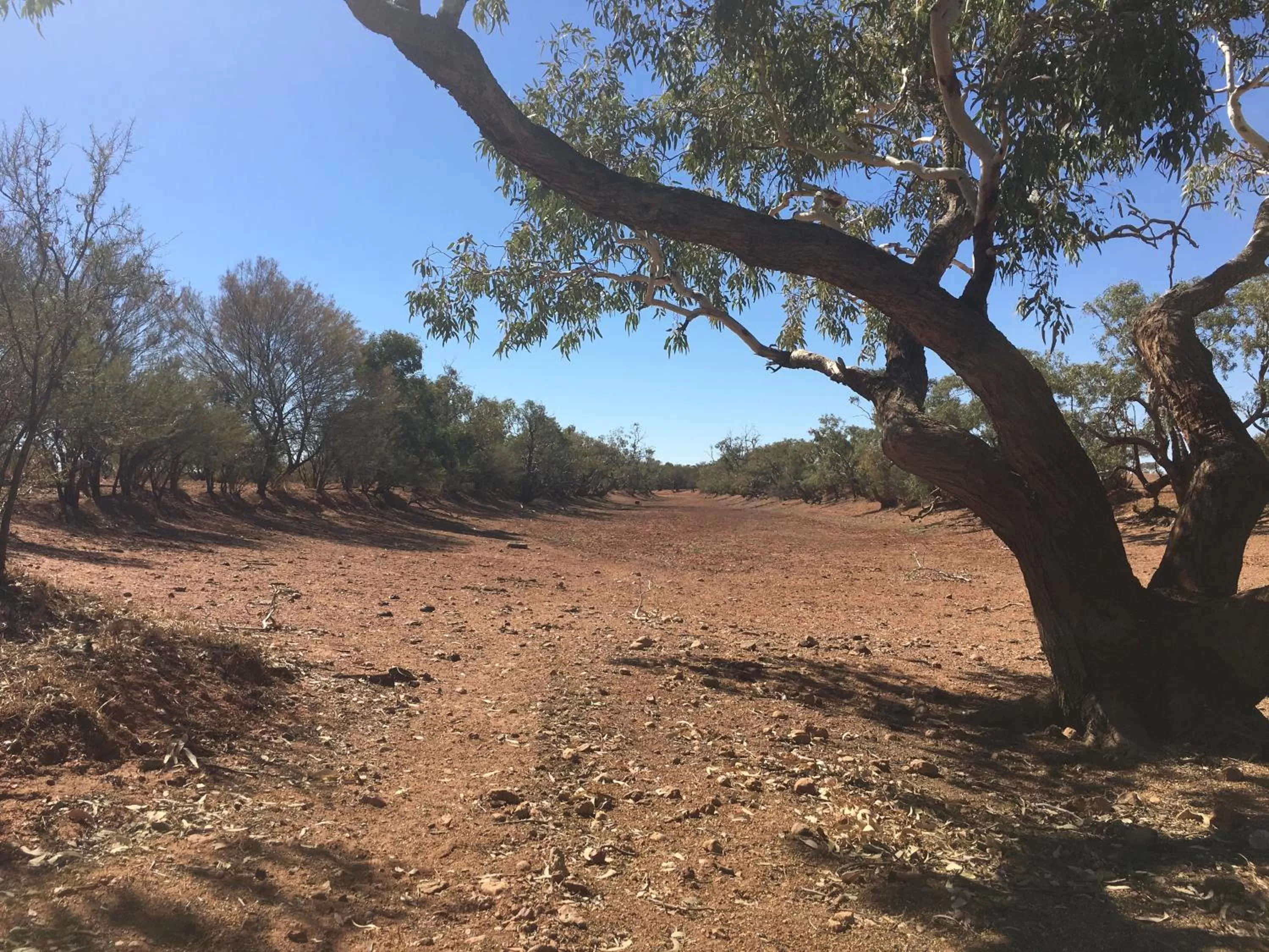 Neighbourhood in Desert Cave Hotel