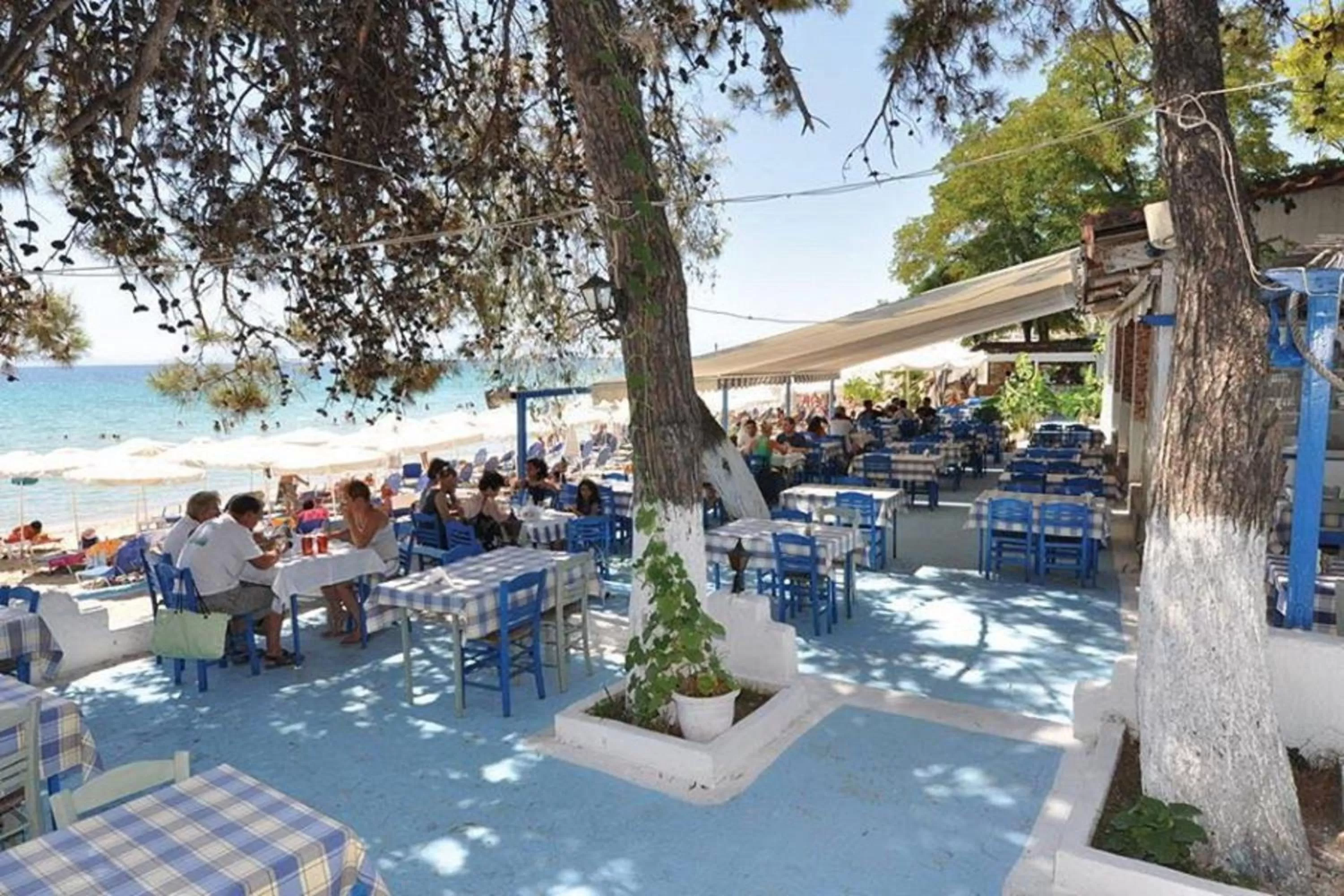 Restaurant/places to eat in Sea Star Apartments Kallikratia