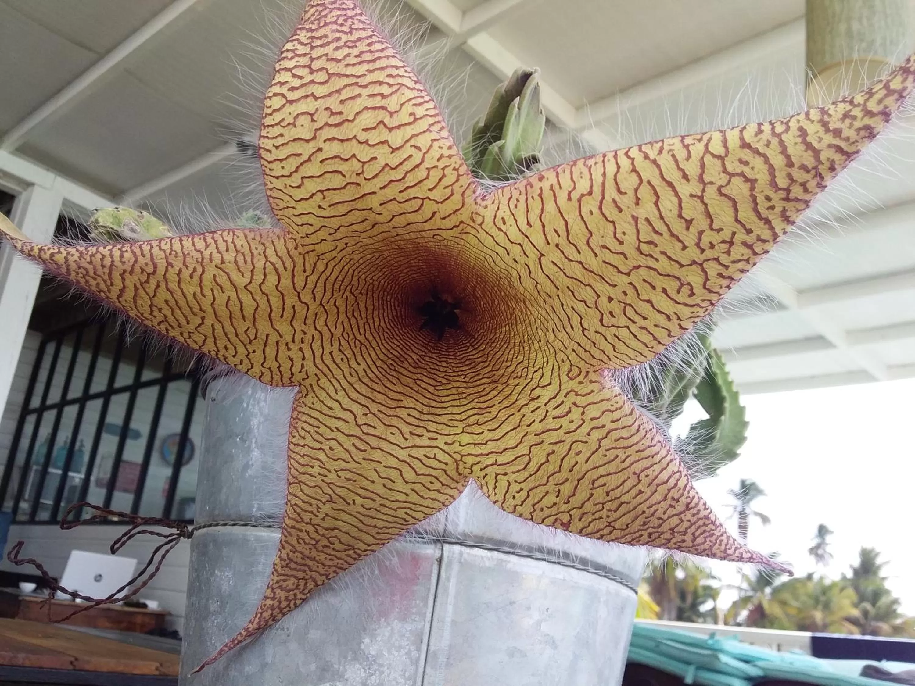 Property building in RIVA B&B