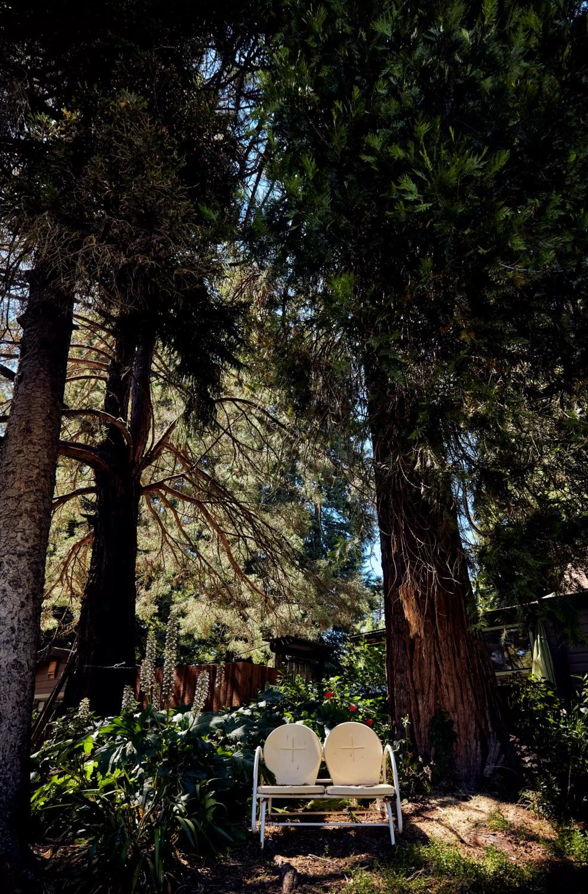 Natural landscape in Highlands Resort - Adults Only