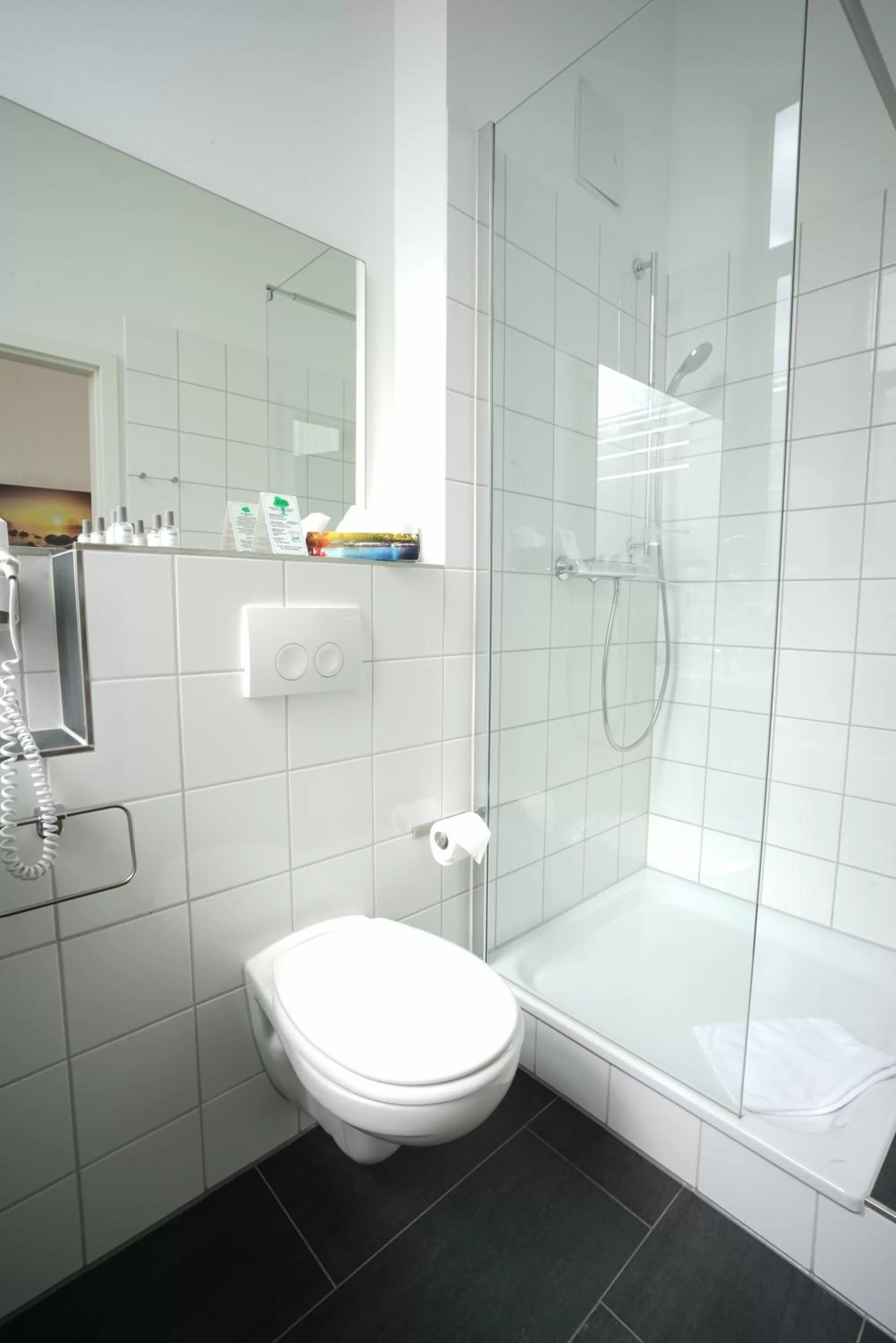 Bathroom in Ruhr Inn Hotel