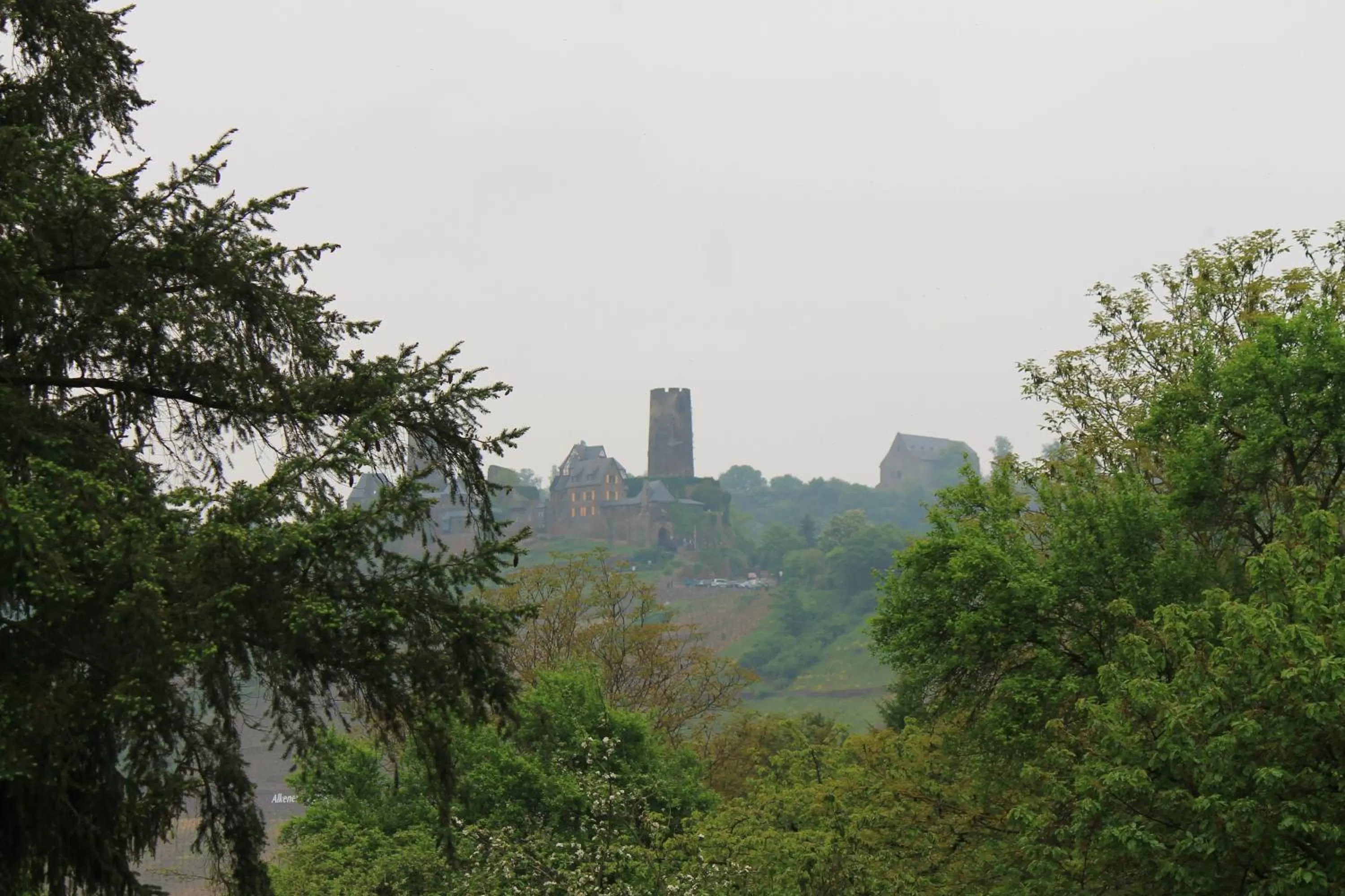 Nearby landmark in Moselhotel & Restaurant Zur Traube GmbH