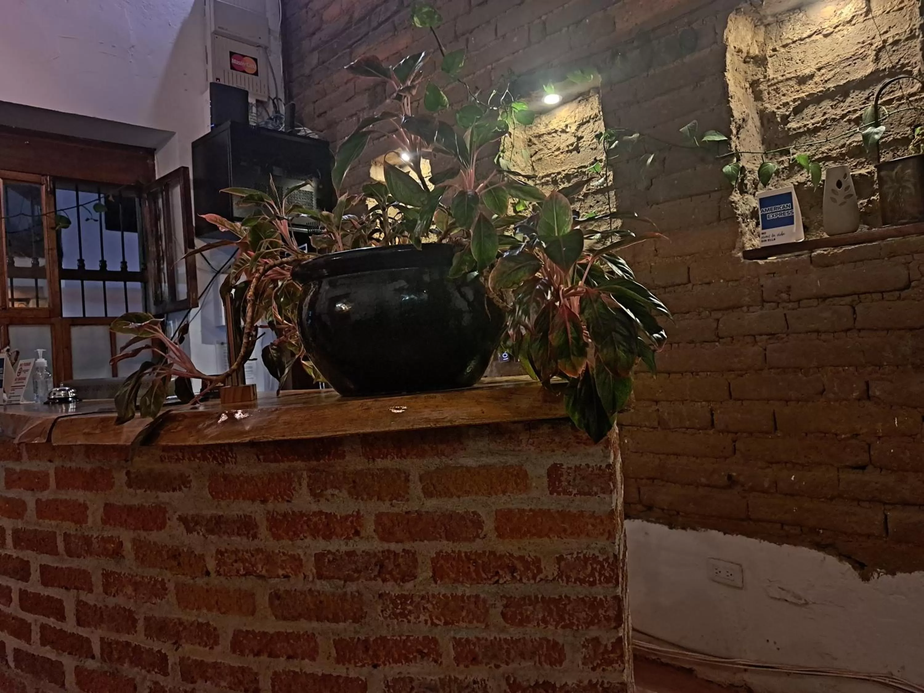 Night in Hotel Terraza San Antonio