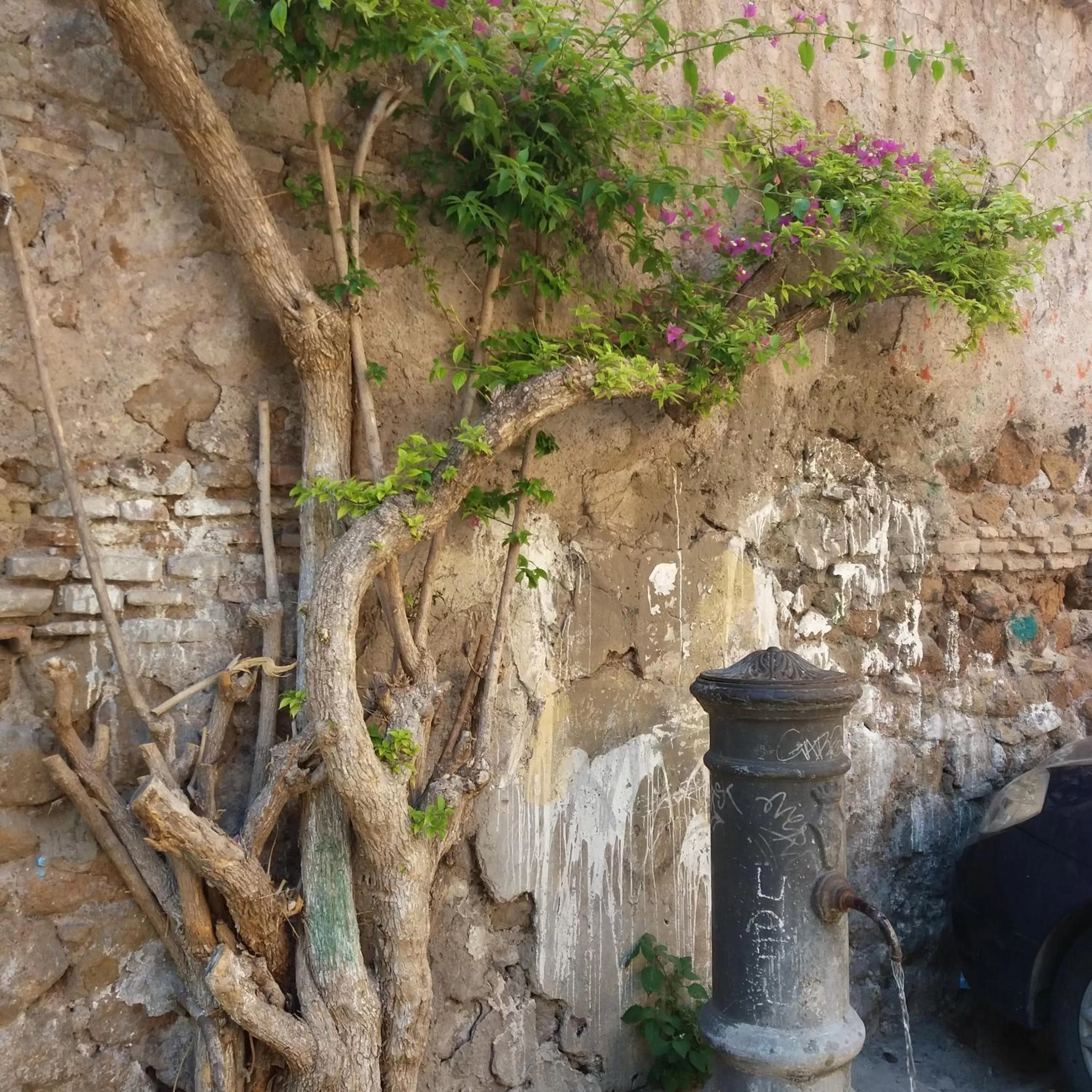 Other in B&B Ventisei Scalini A Trastevere