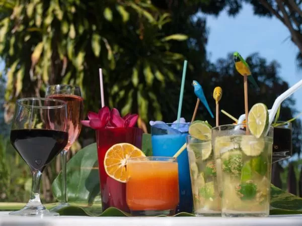Restaurant/places to eat, Drinks in Hotel Eco Sítio Nosso Paraíso