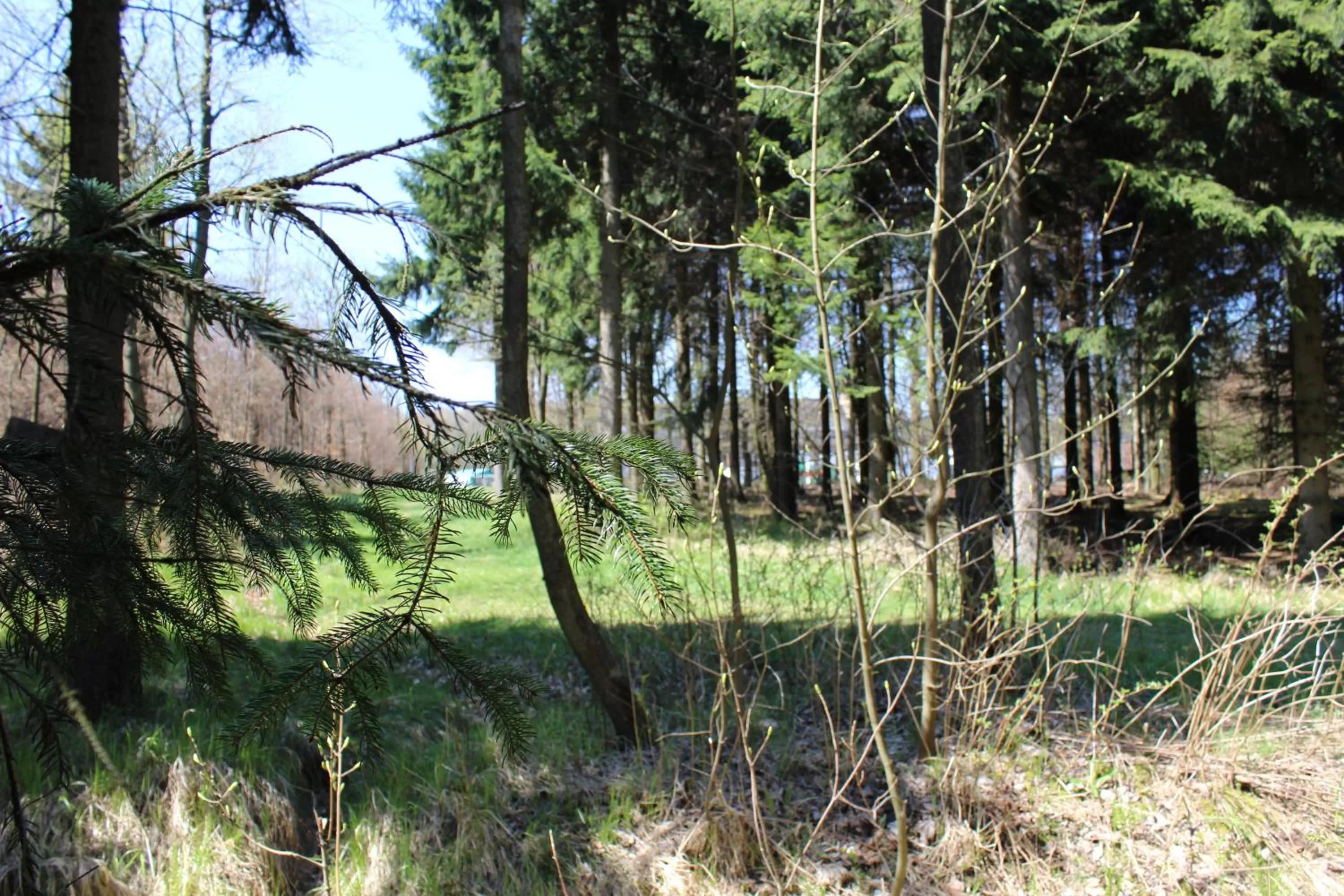 Natural landscape, Garden in Waldgasthof Bad Einsiedel