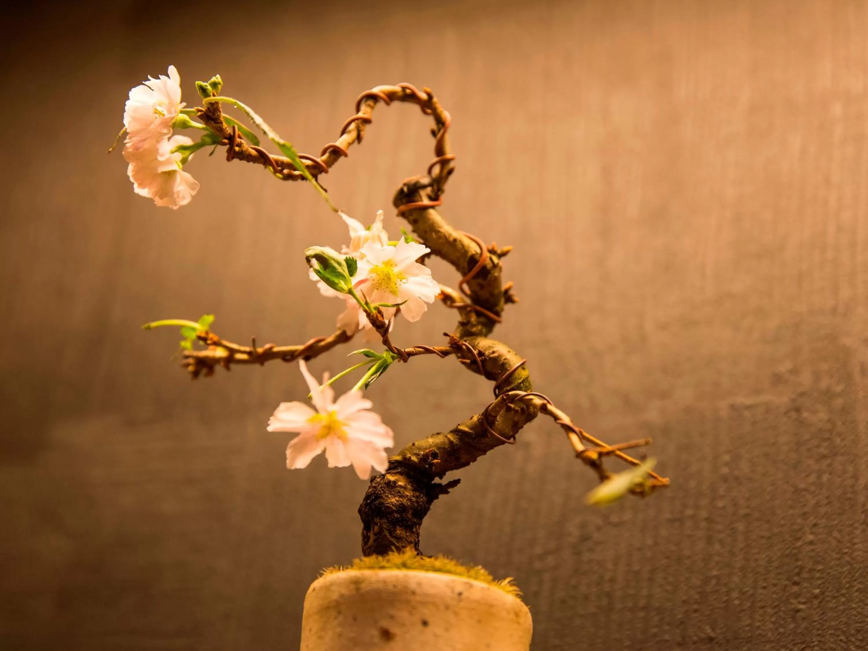 Decorative detail in UAN kanazawa