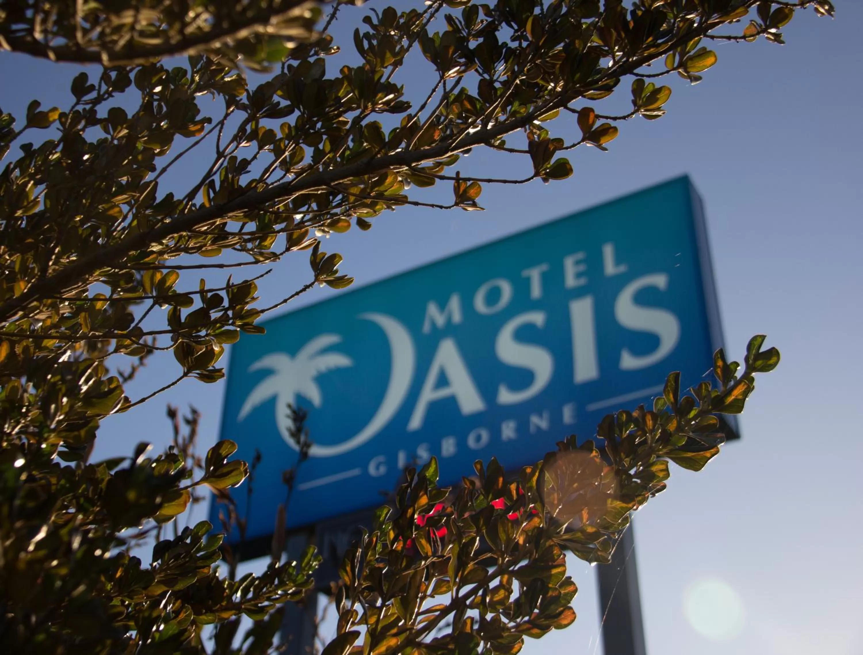 Property logo or sign in Motel Oasis