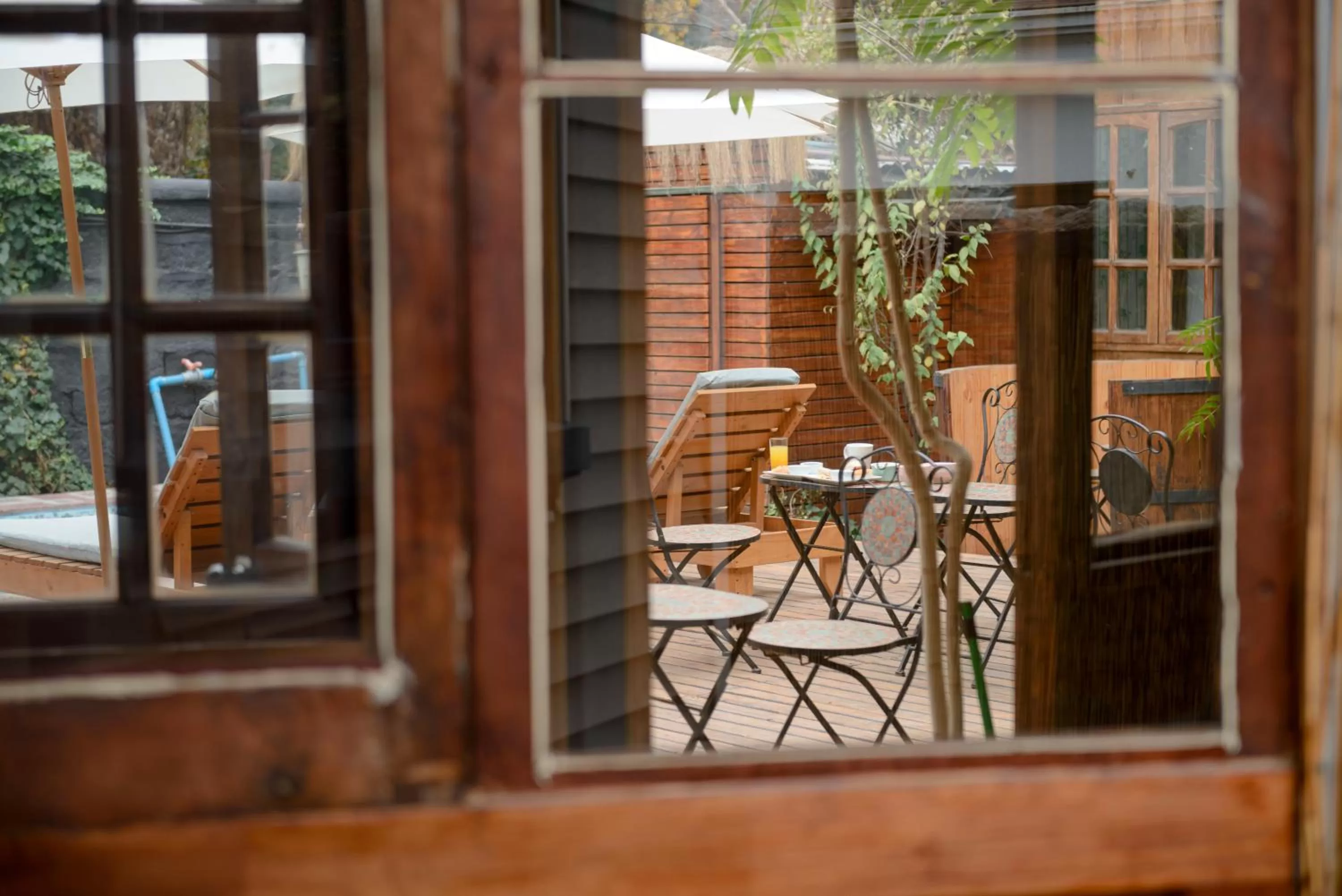 Garden in Verde Madera Hostel B&B