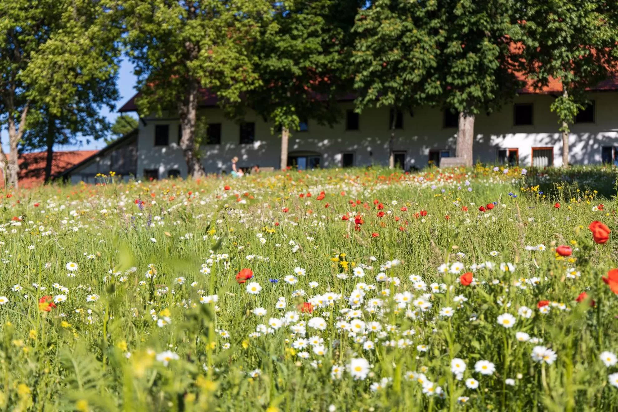 Garden, Property Building in Hotel-Landgasthof KREUZ