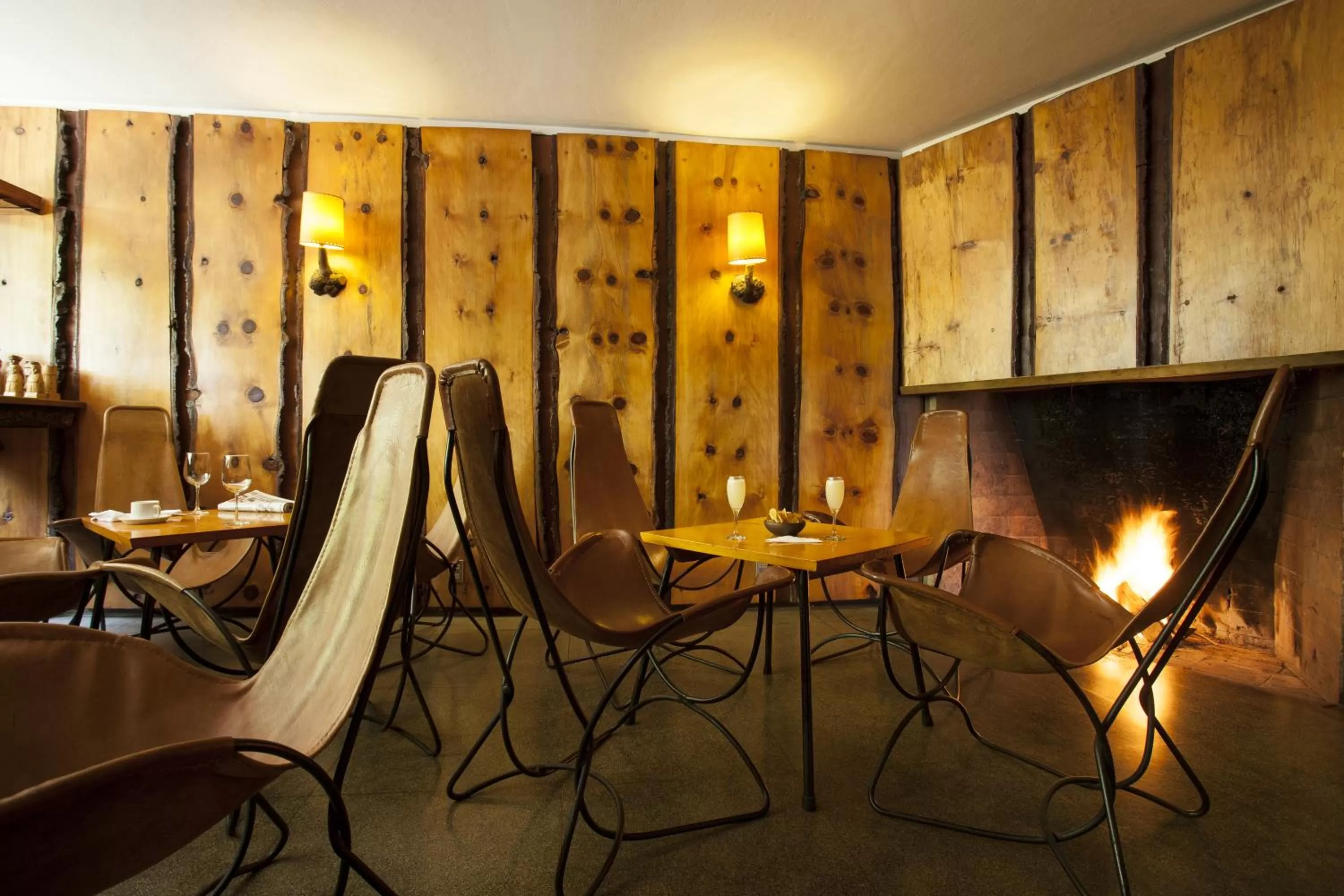 Lounge or bar, Restaurant/Places to Eat in Hotel Antumalal