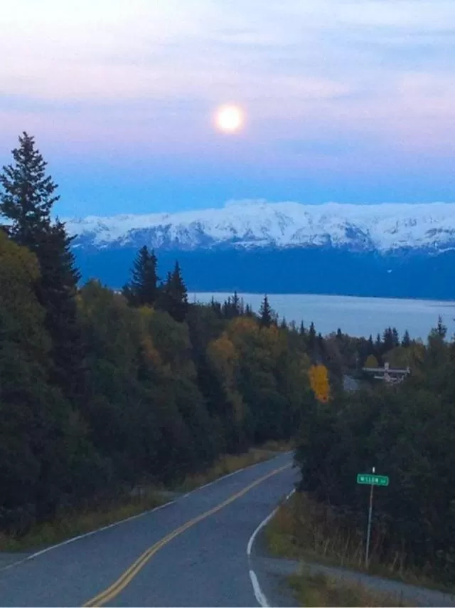 Neighbourhood in Halcyon Heights B&B/Inn