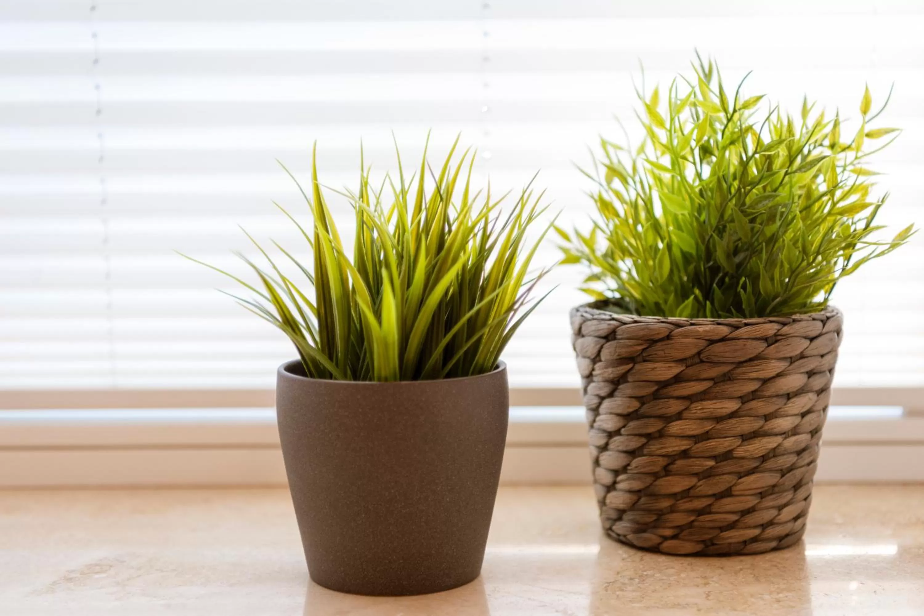 Decorative detail in greenpartment Boardinghouse Neustadt