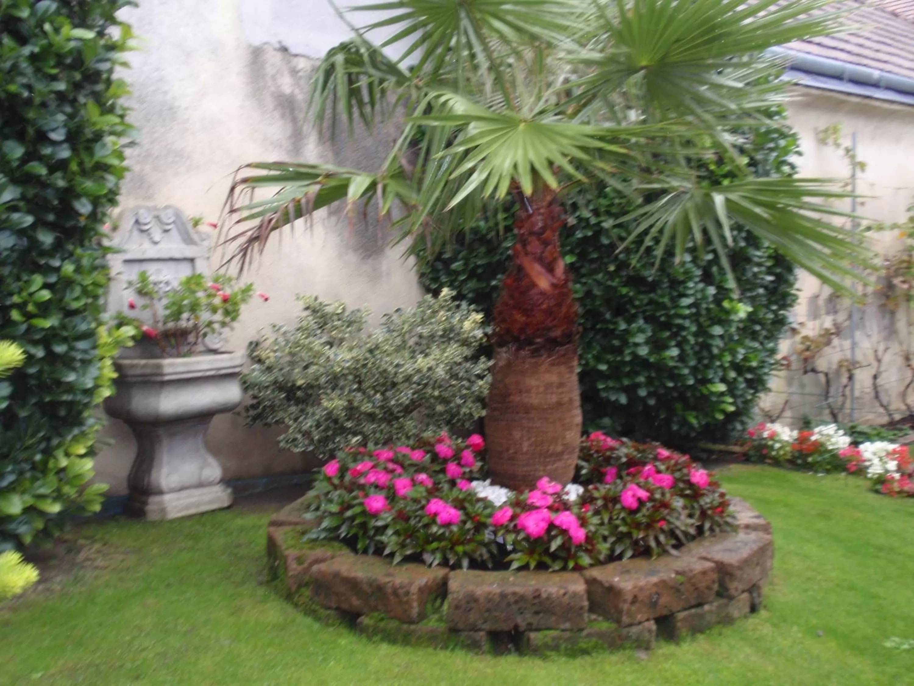 Garden in Villa-Angelina