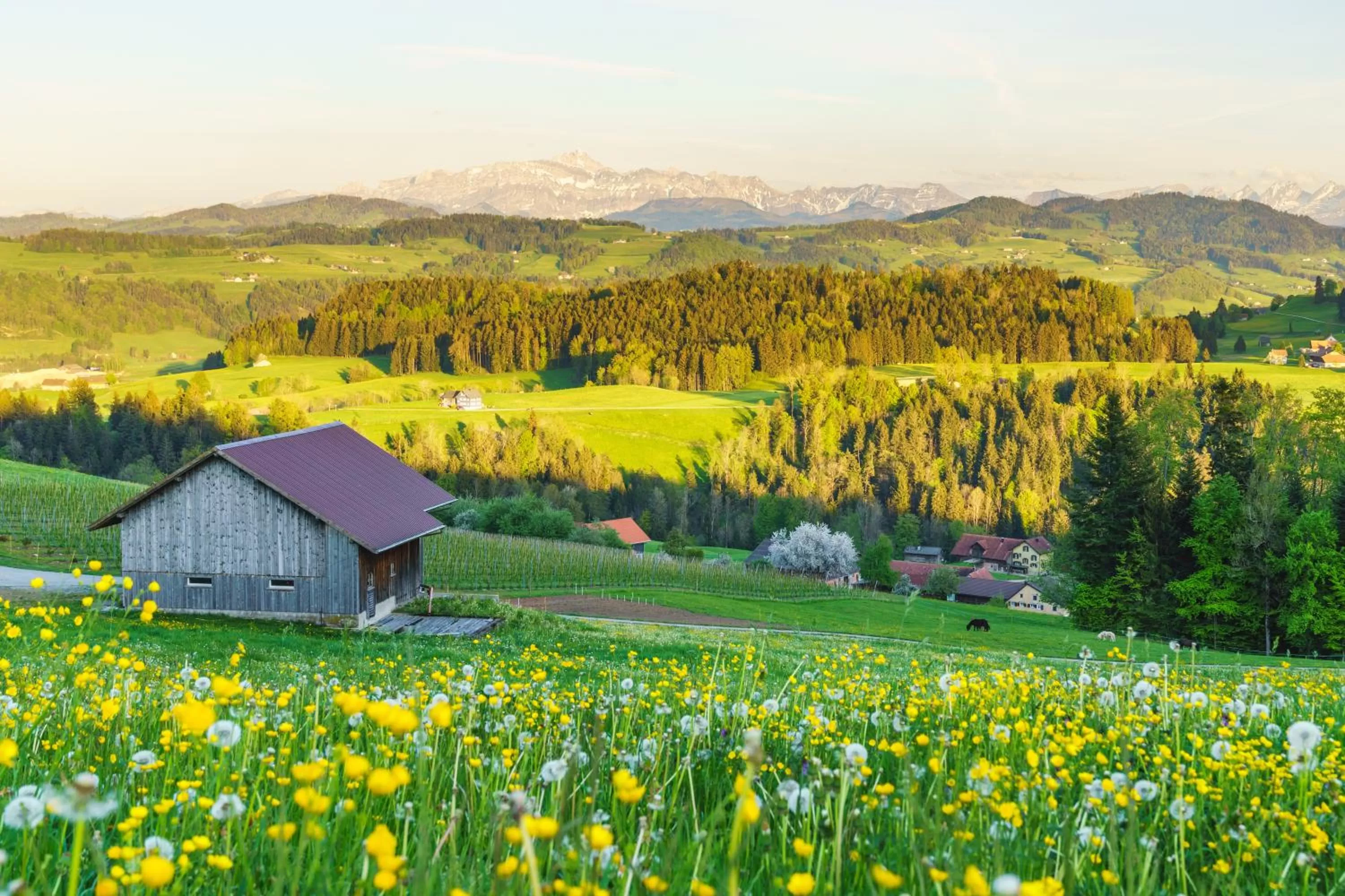 Staff in kroneLODGE - Self-Check-In Hotel