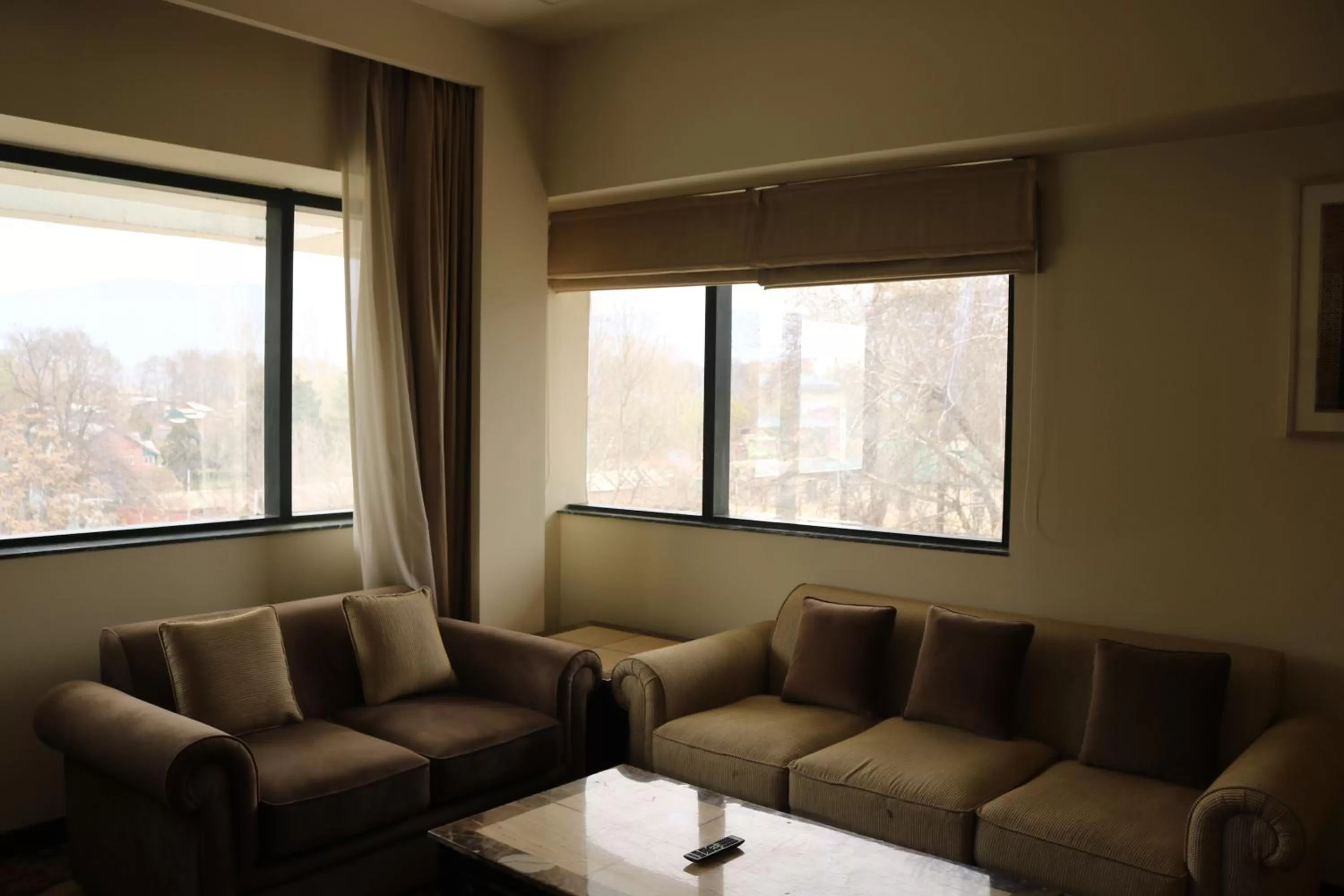 Living room in Radisson Srinagar