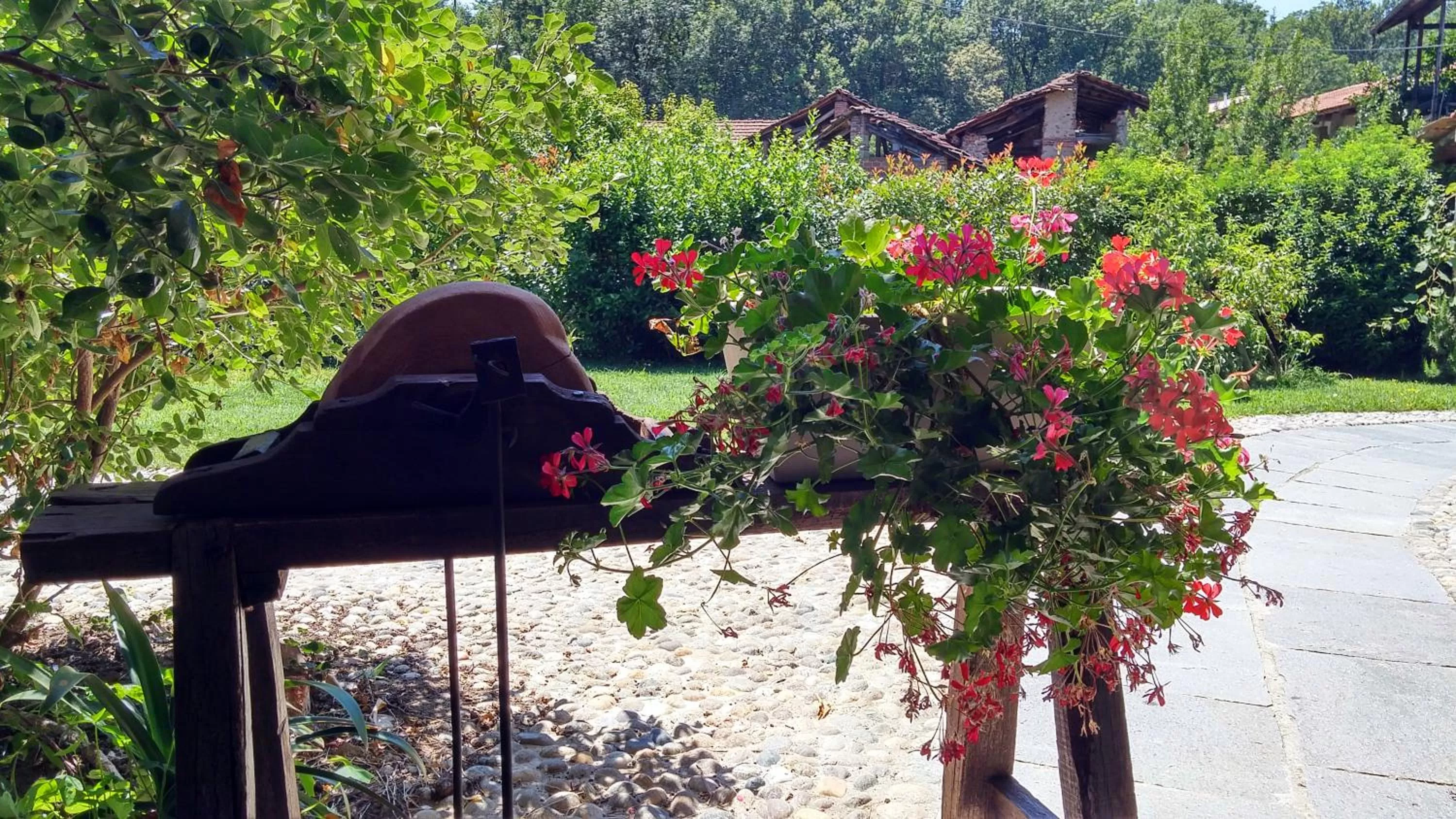 On site in Relais Profumo di Vino