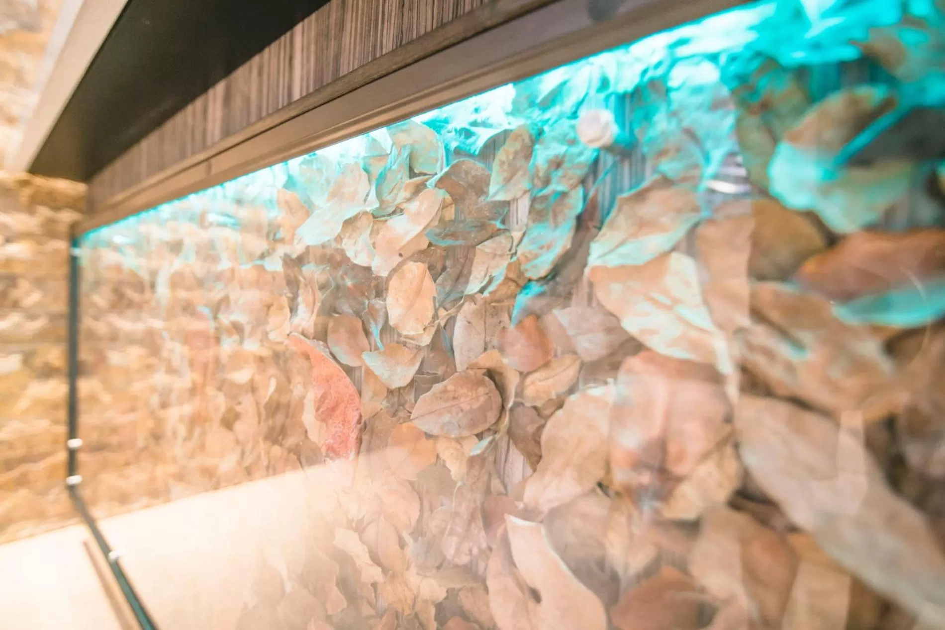 Lobby or reception in Ciqala Suites Hotel - San Juan