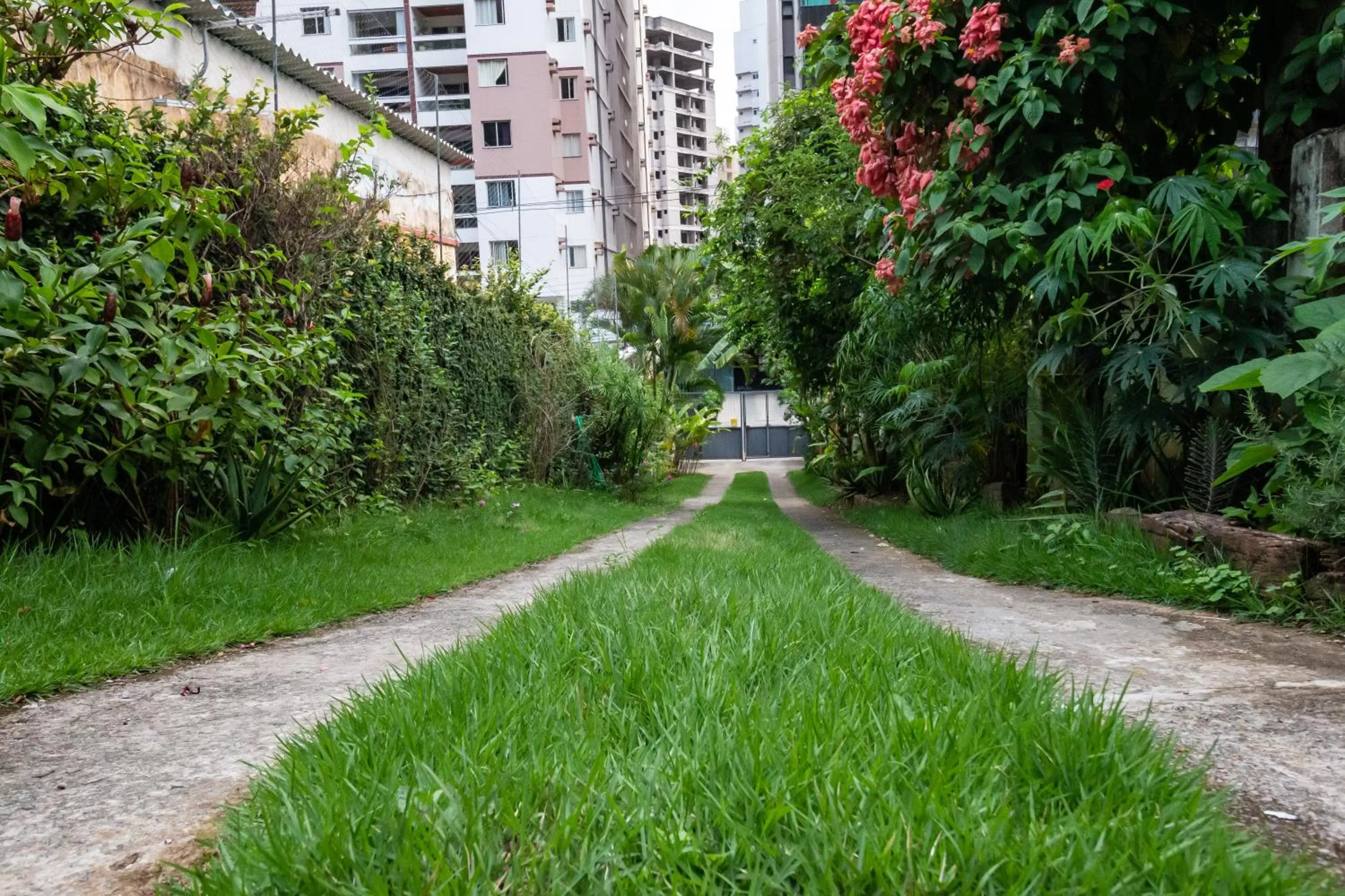 Garden in A Casa Morro do Moreno