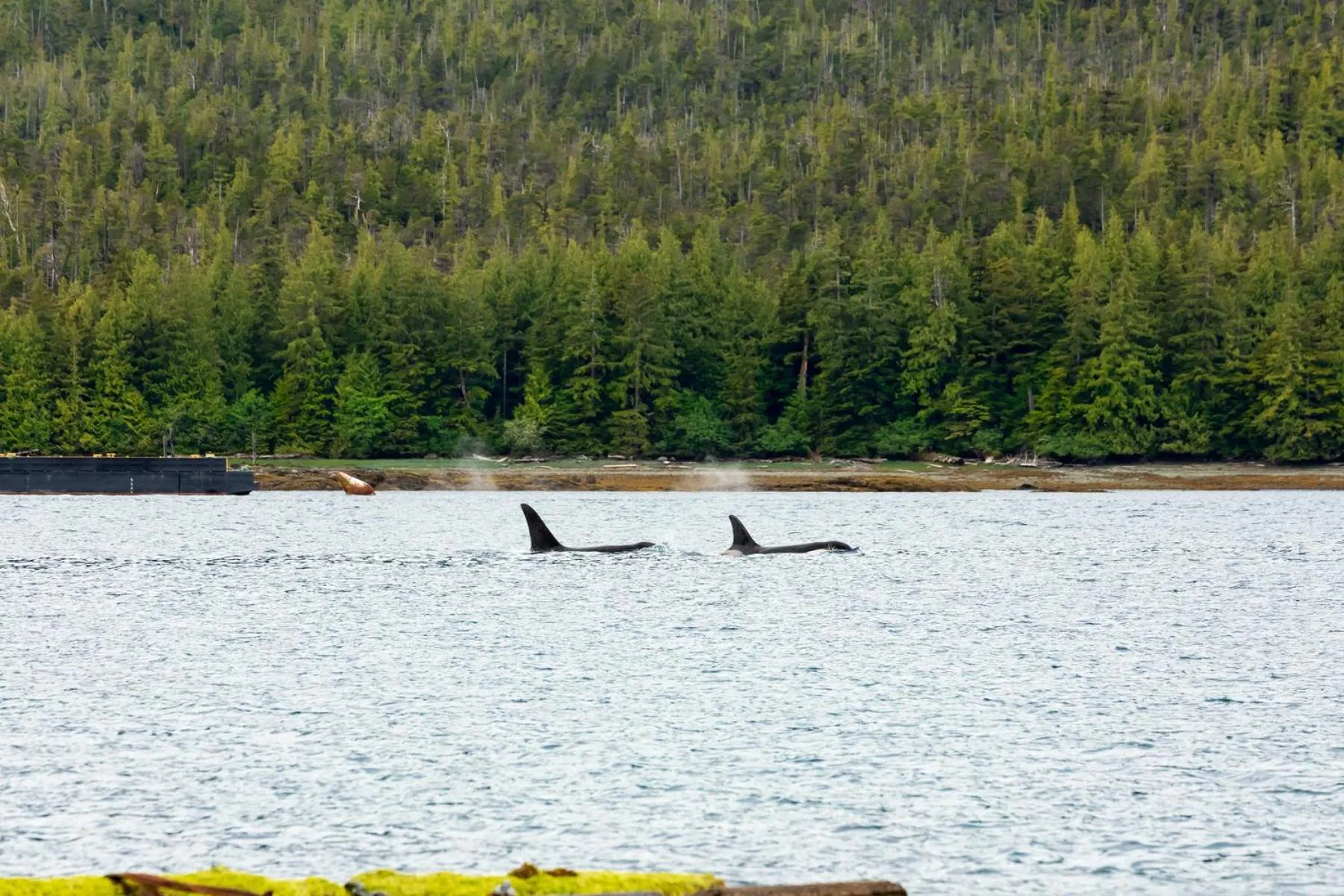 Natural landscape in The Ketch Inn