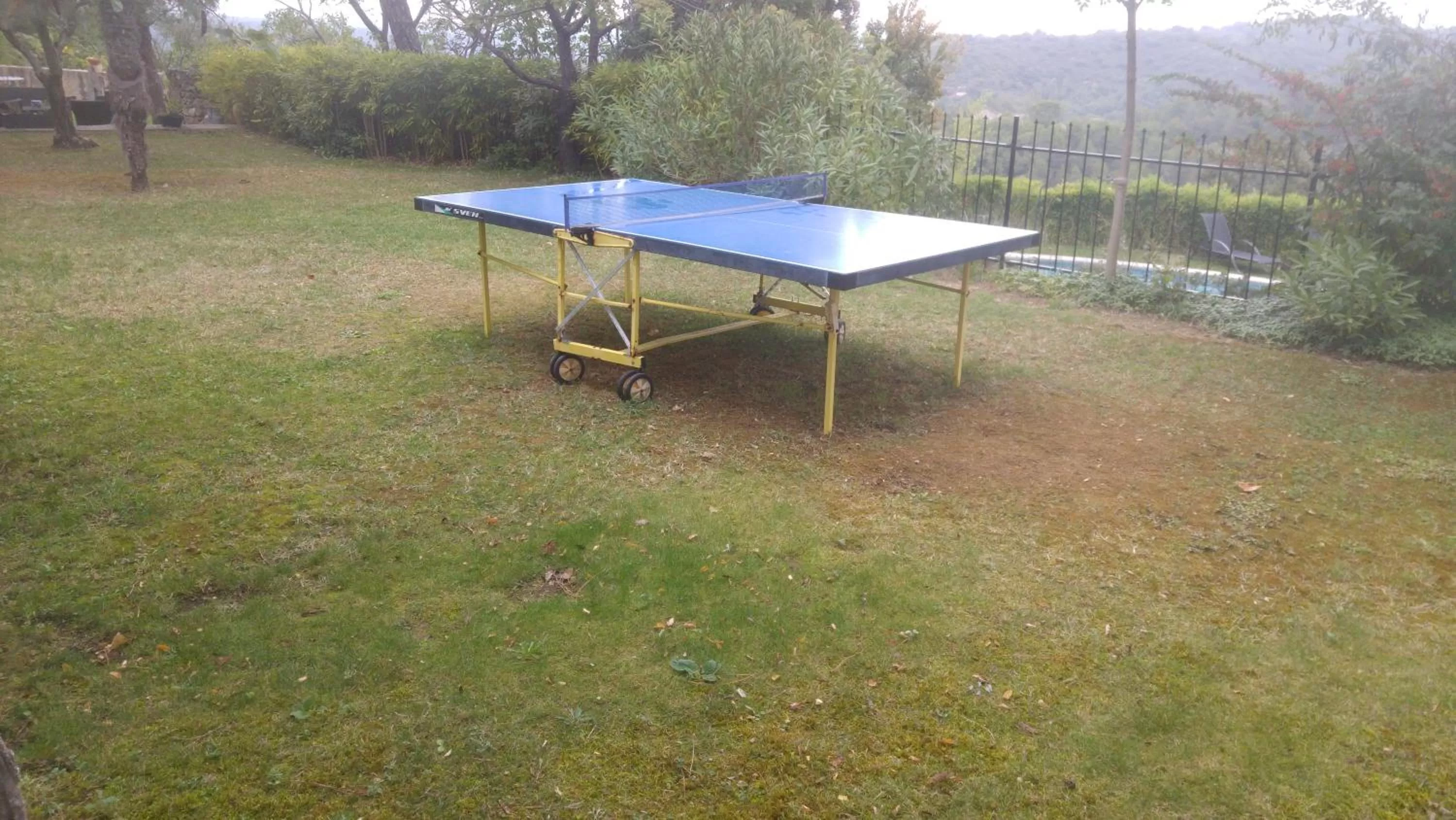 Table Tennis in Le Moulin de Varrians