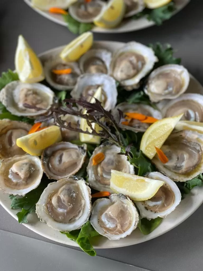 Restaurant/places to eat, Food in Hotel & Cava Estancia Rilán