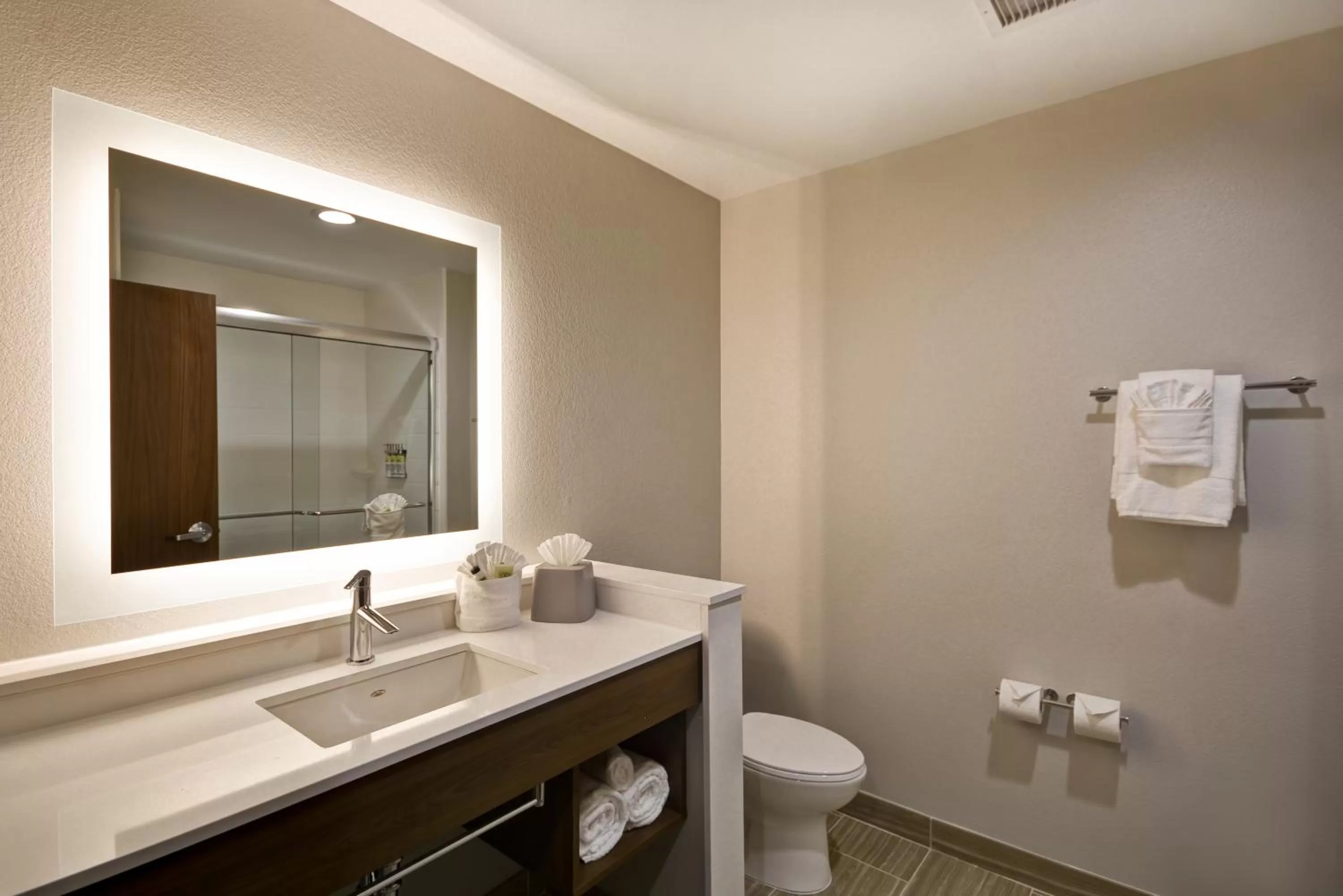 Bathroom in Holiday Inn Express & Suites - Houston NASA - Boardwalk Area by IHG