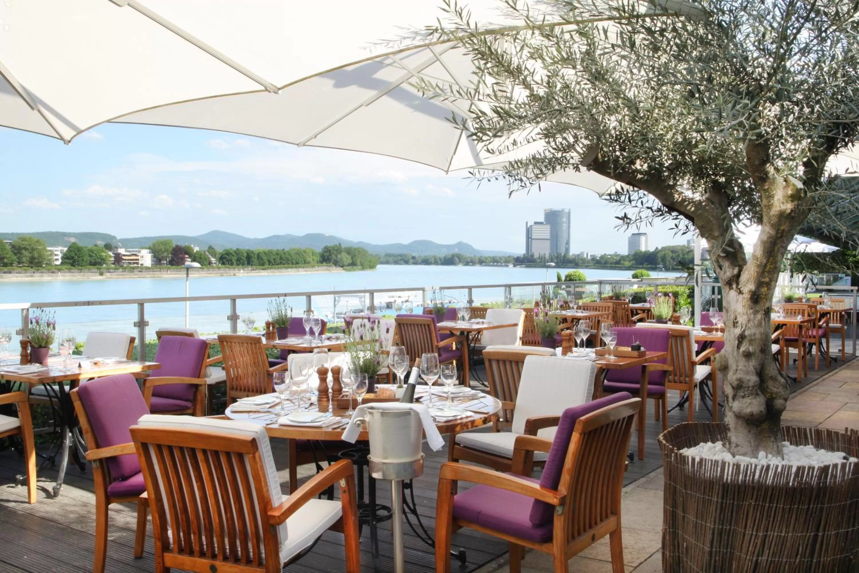 Restaurant/places to eat in AMERON Bonn Hotel Königshof